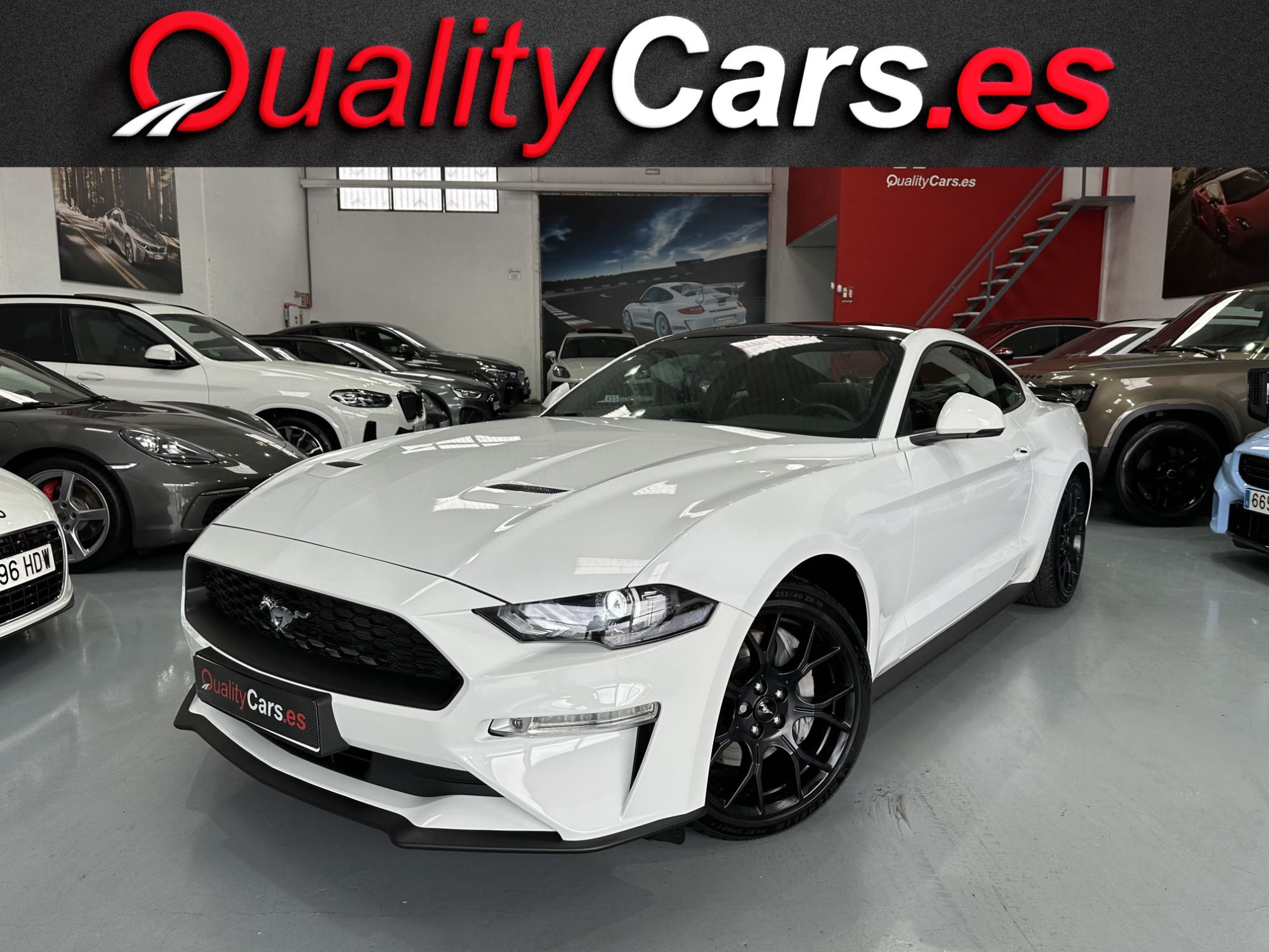 FORD Mustang (Fastback 2.3 EcoBoost Aut.) en Valencia