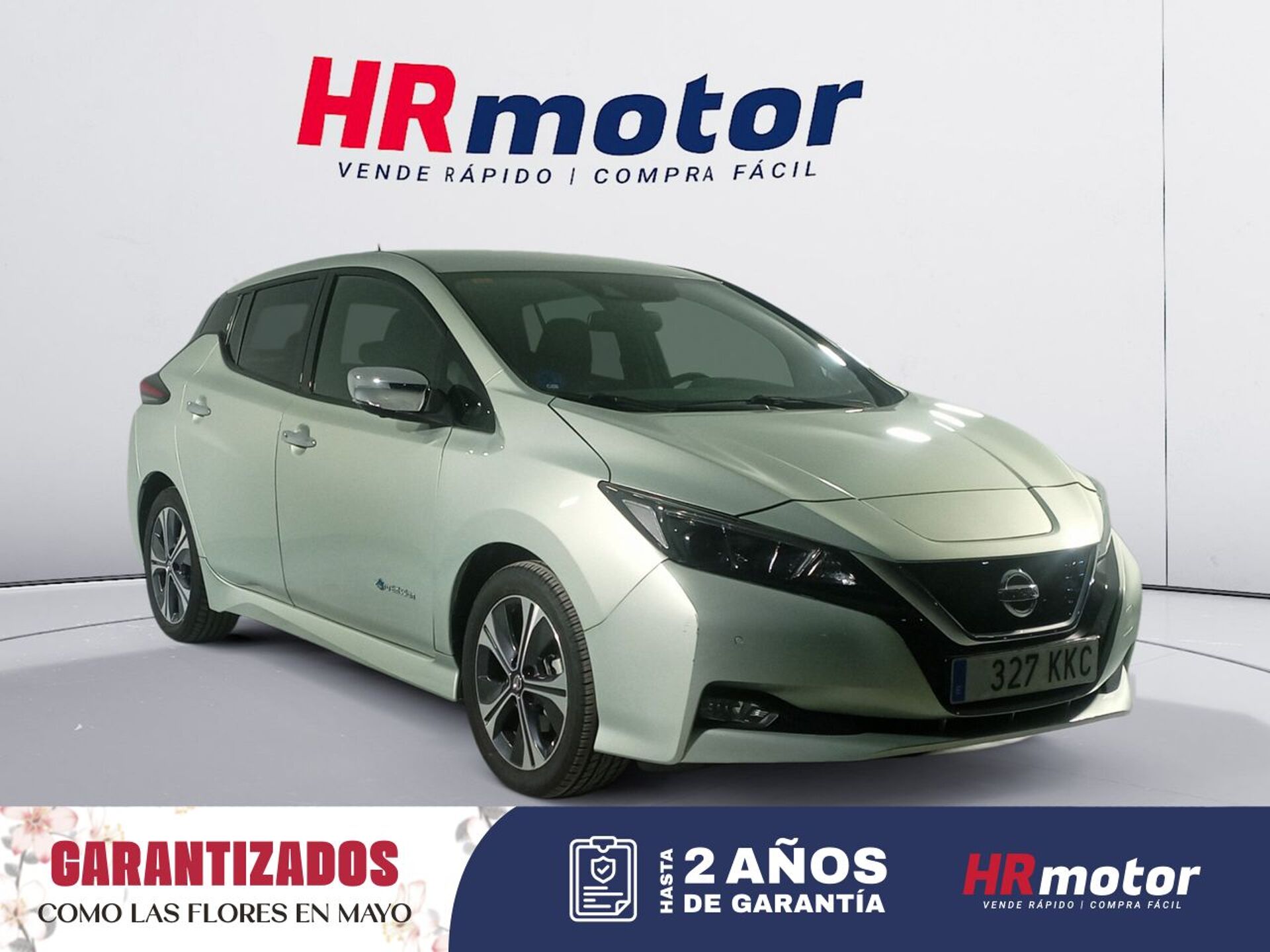 Imagen de NISSAN Leaf