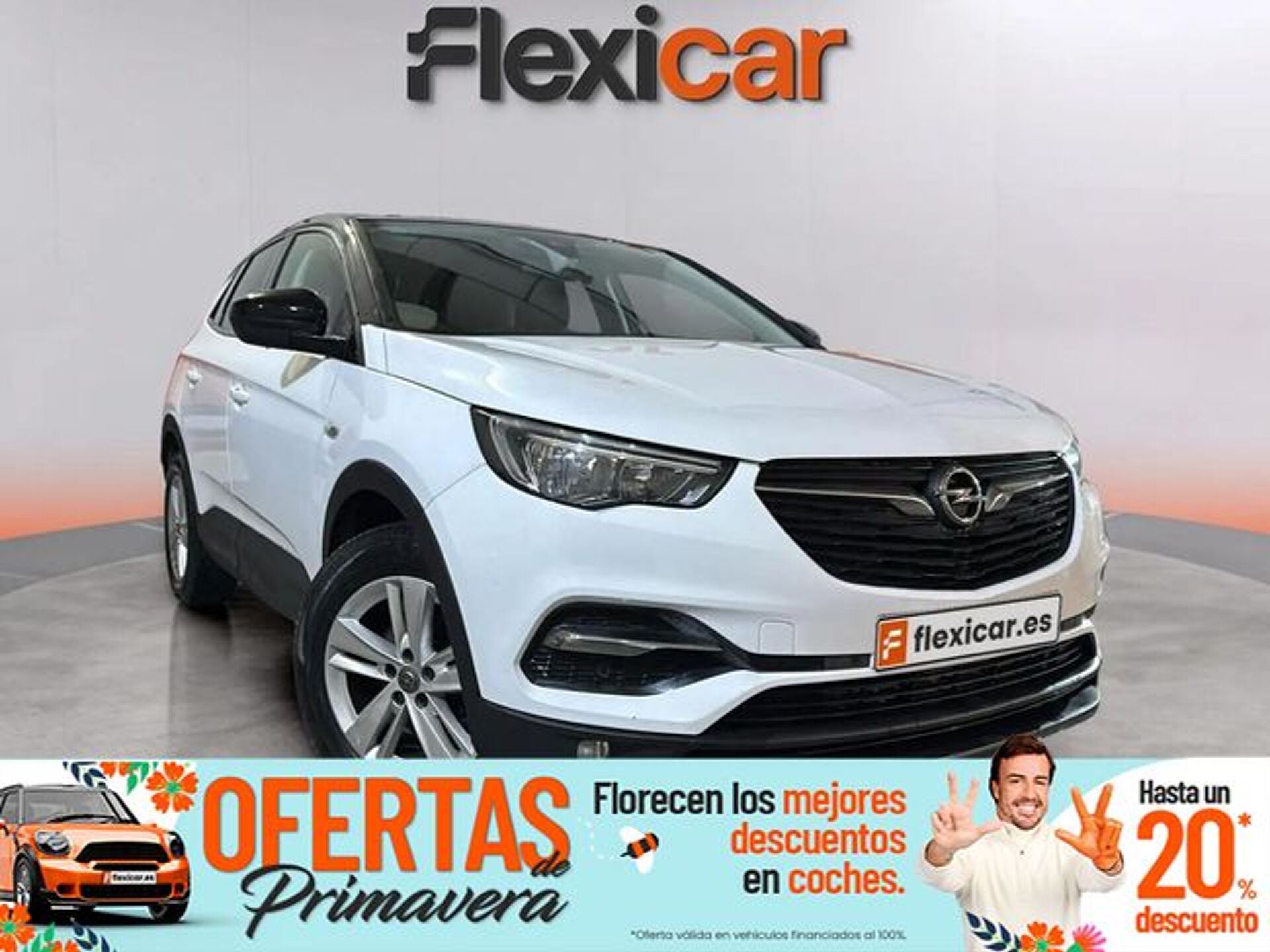 Imagen 1 de OPEL Grandland X