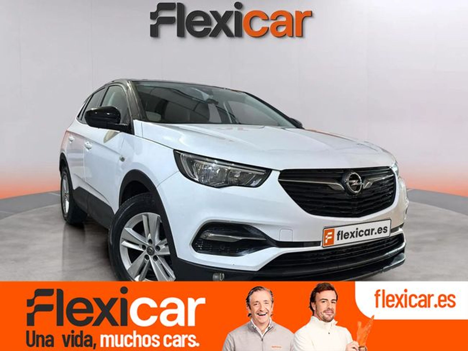Imagen de OPEL Grandland X