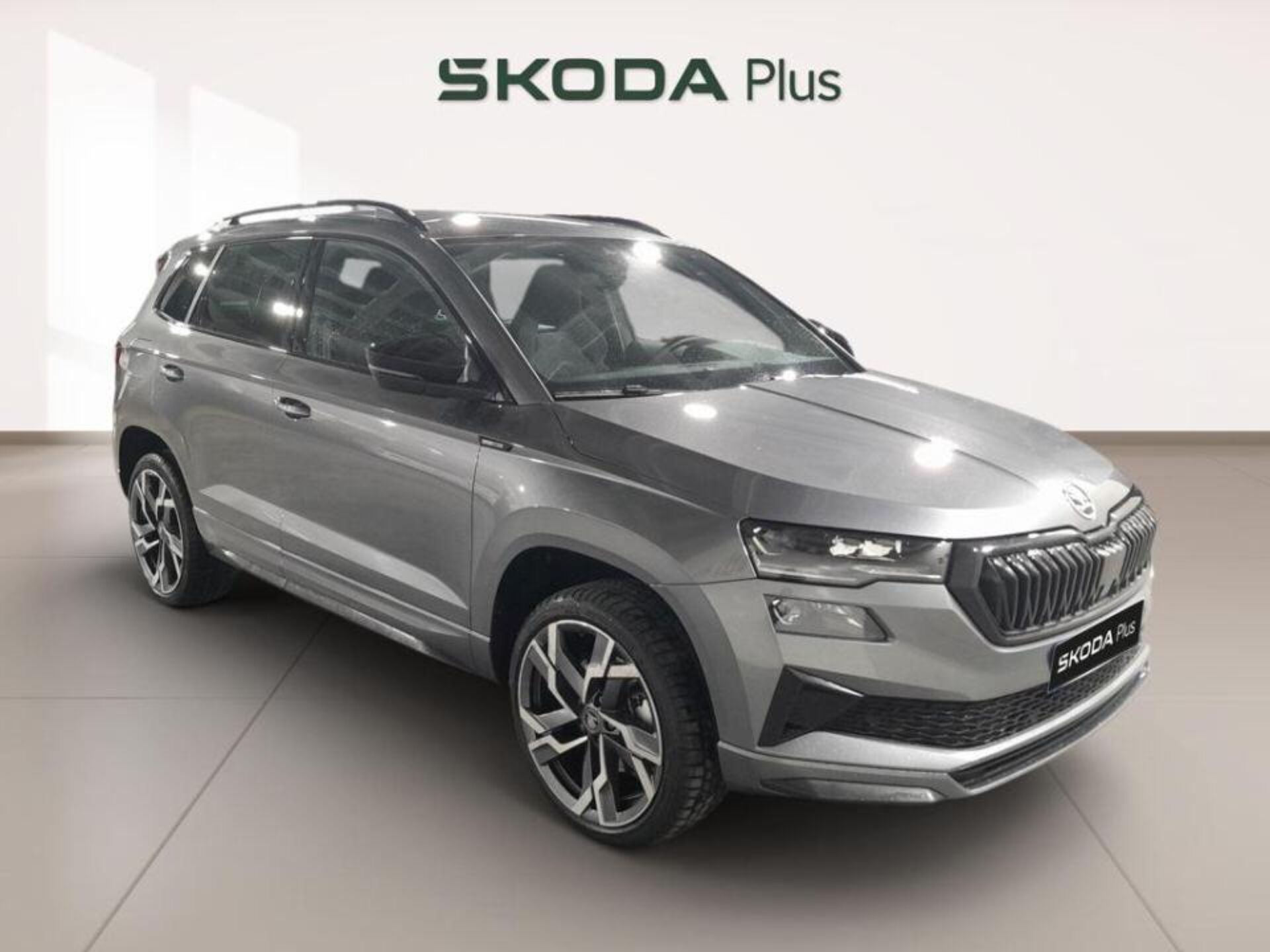 Imagen 1 de SKODA Karoq