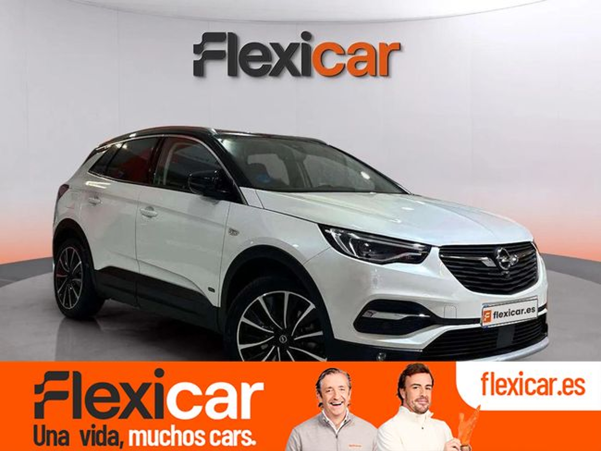 Imagen de OPEL Grandland X