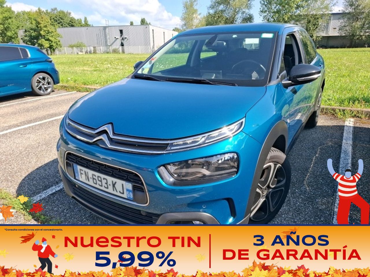 CITROEN C4 Cactus (BlueHDi 88KW (120CV) S&S EAT6 Feel) en Madrid