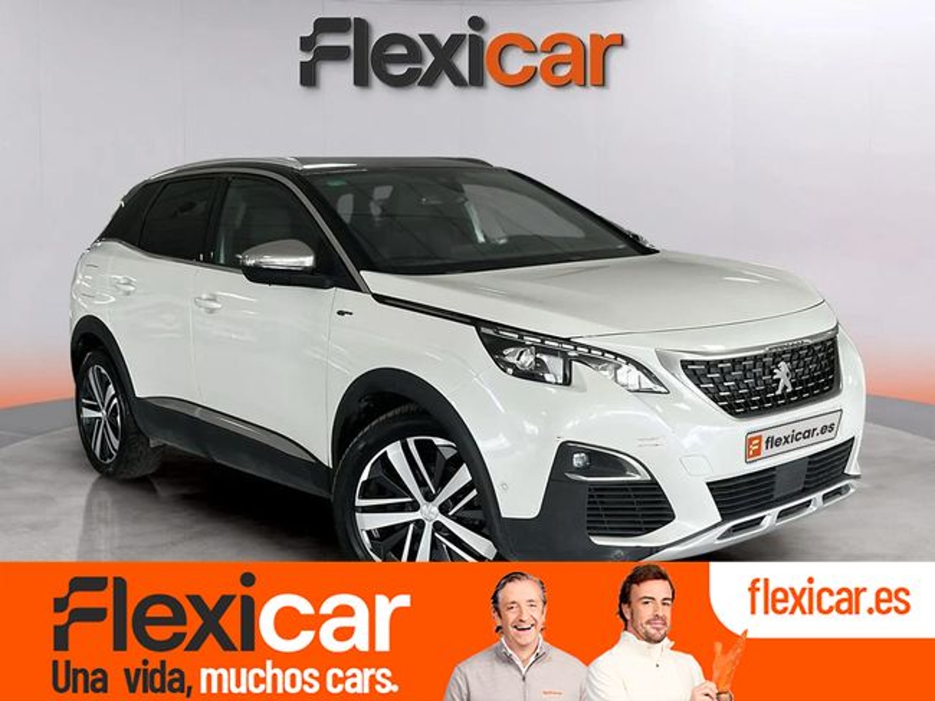 Imagen de PEUGEOT 3008