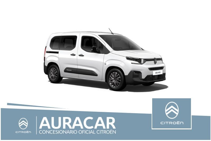 CITROEN Berlingo (Talla M BlueHDi 100 S&S PLUS) en Madrid