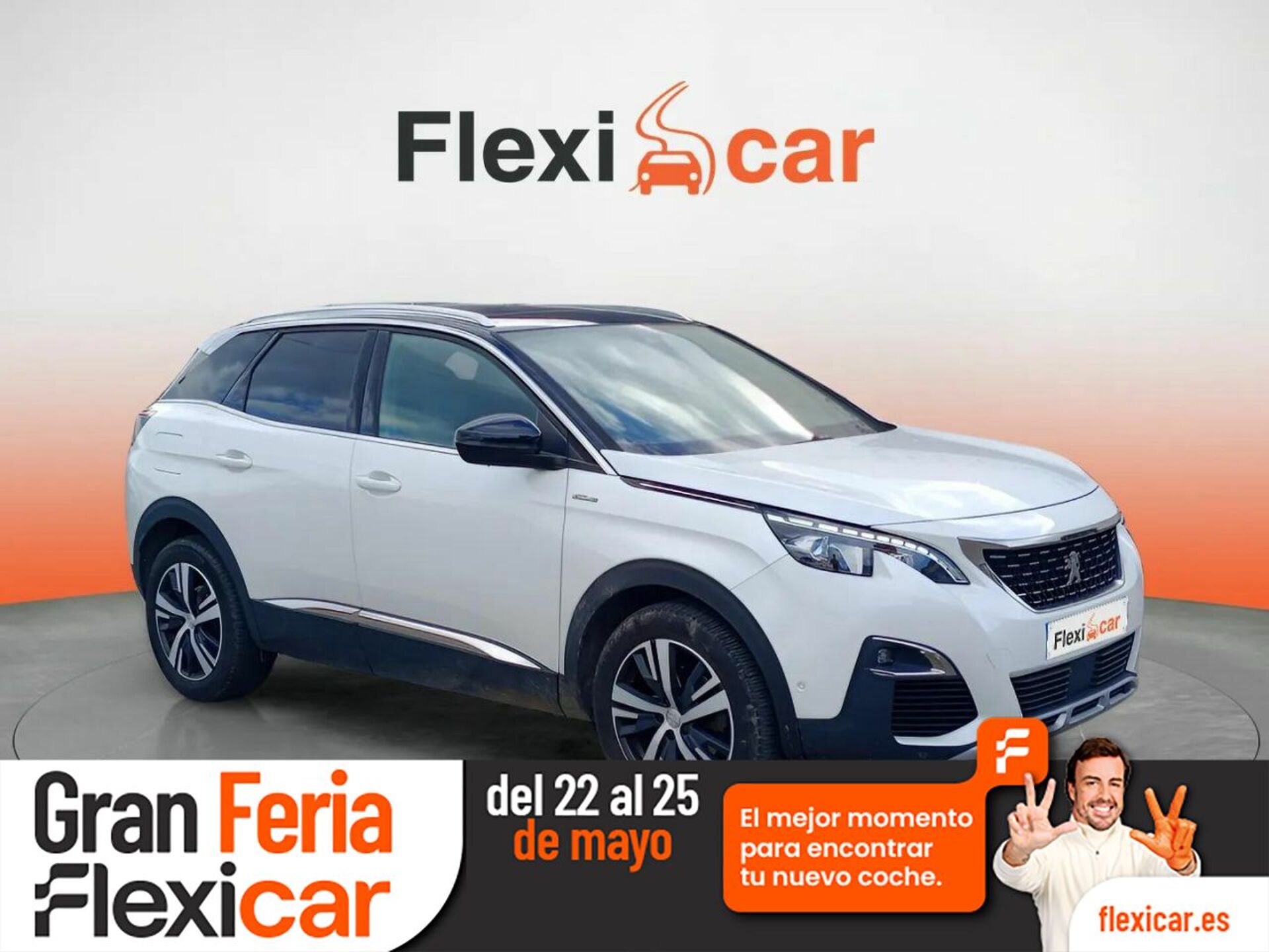 Imagen de PEUGEOT 3008