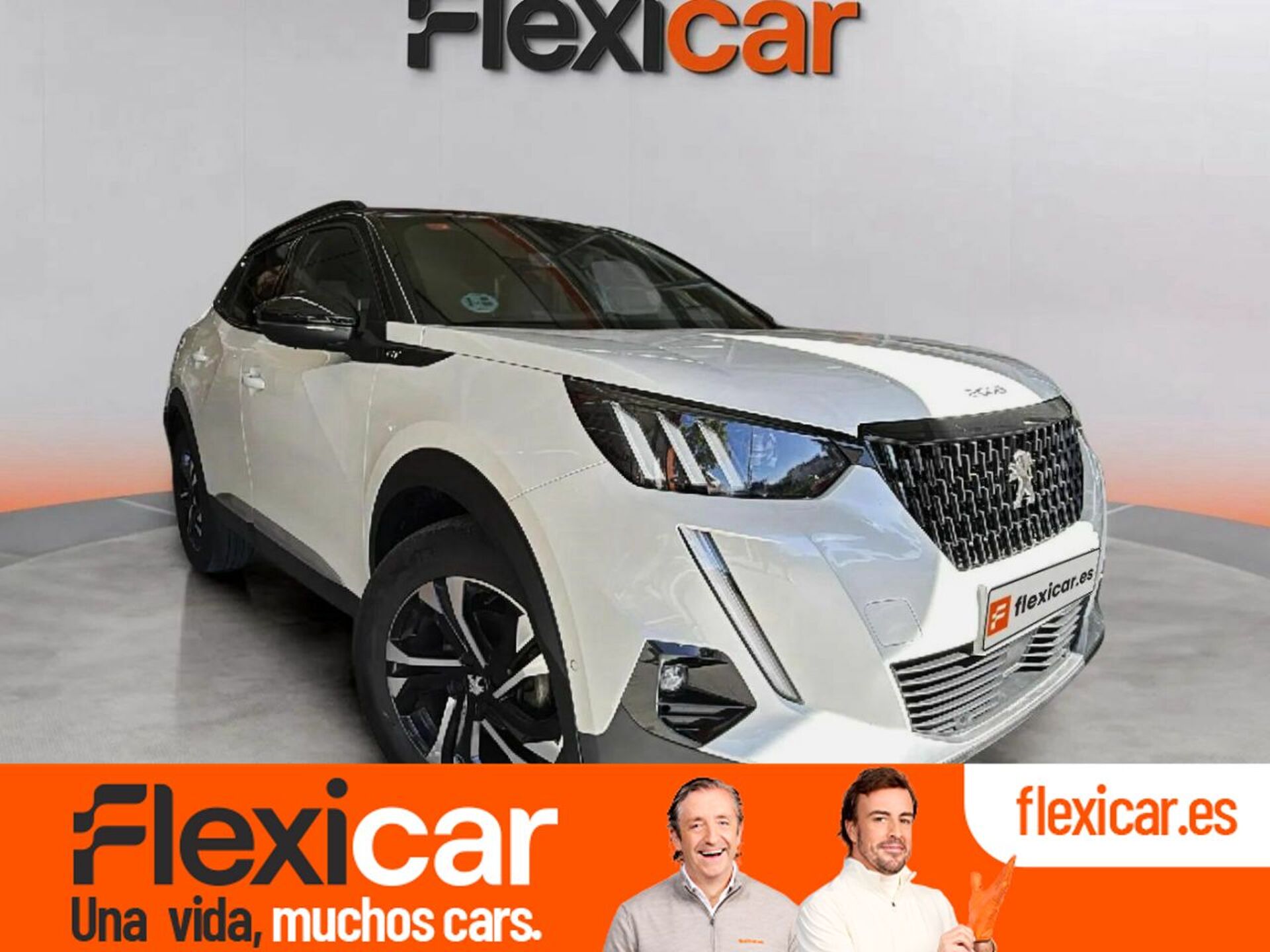 Imagen de PEUGEOT 2008