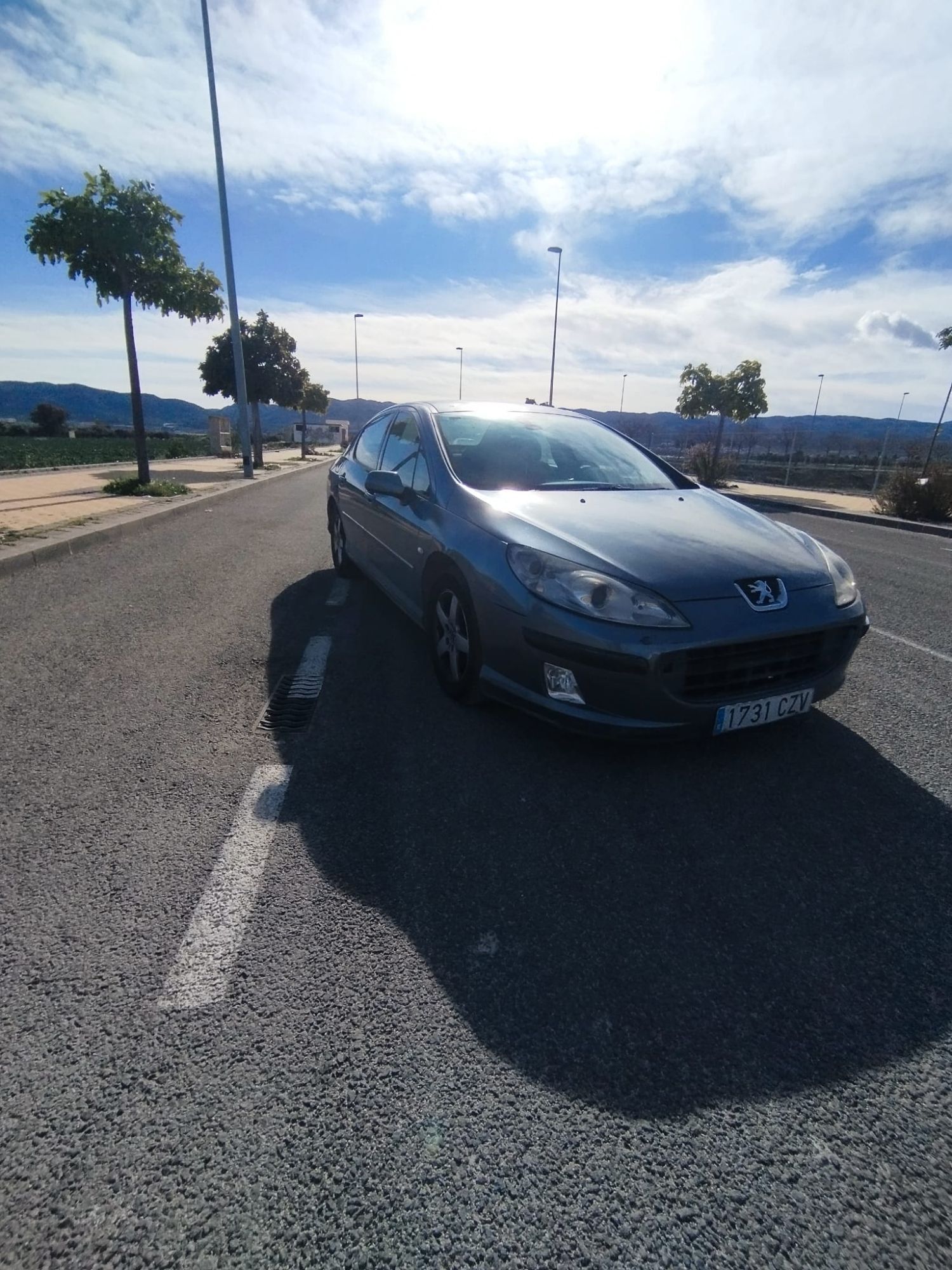 Foto del PEUGEOT 407 SW 2.0HDI ST Confort
