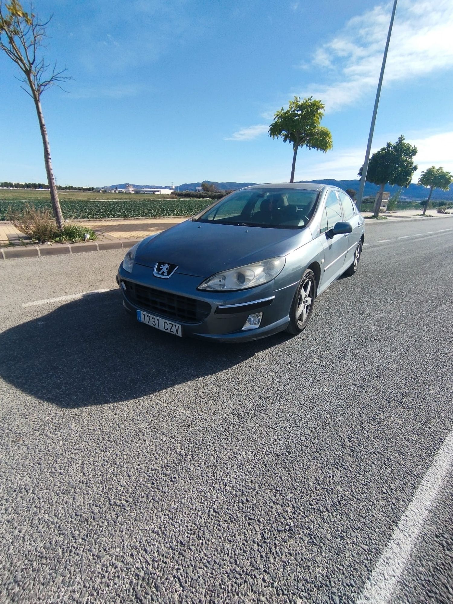 Foto del PEUGEOT 407 SW 2.0HDI ST Confort