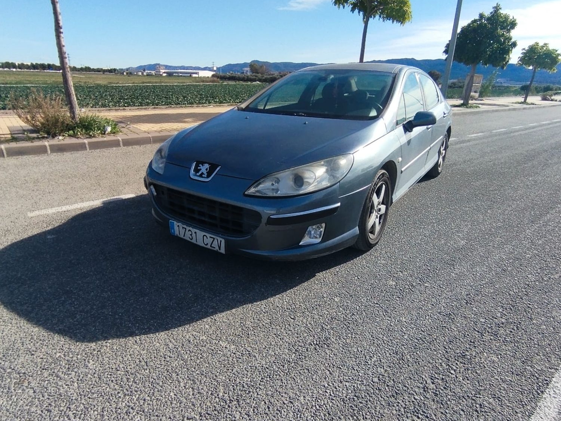 Imagen de PEUGEOT 407