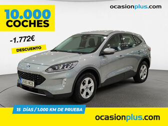 Imagen de FORD Kuga 1.5 EcoBlue Trend FWD 120