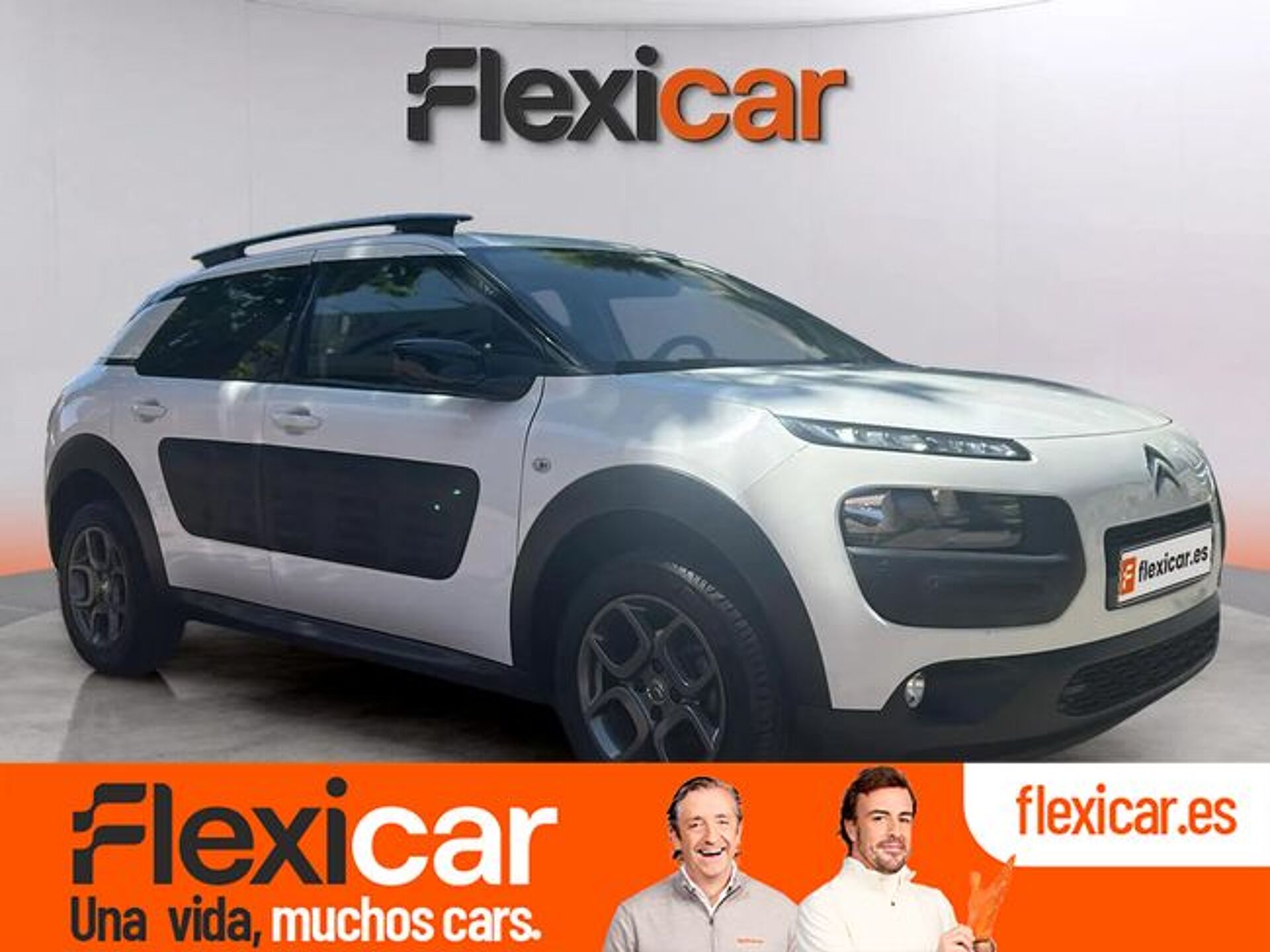 Imagen de CITROEN C4 Cactus