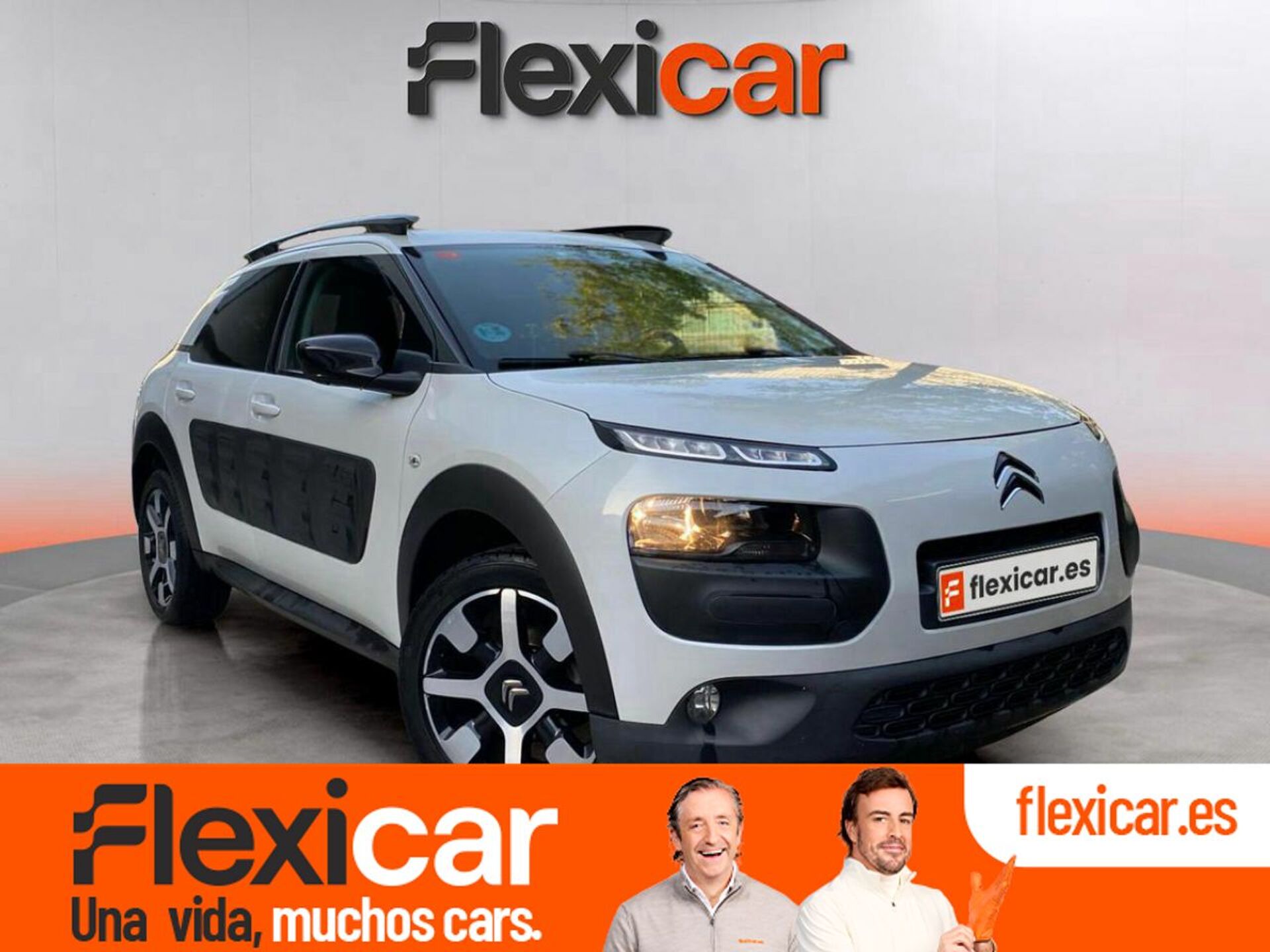 Imagen de CITROEN C4 Cactus