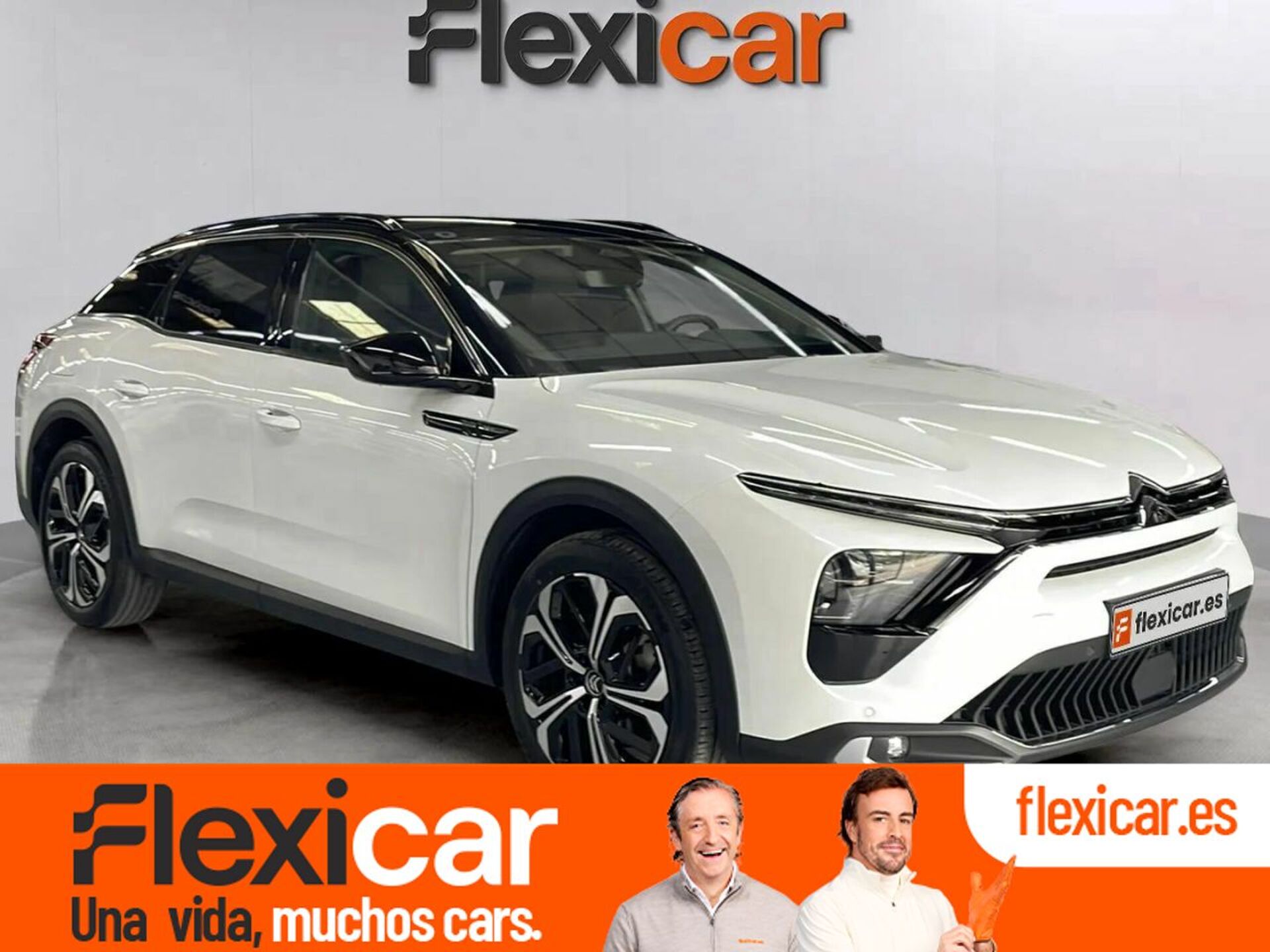 Imagen de CITROEN C5 X