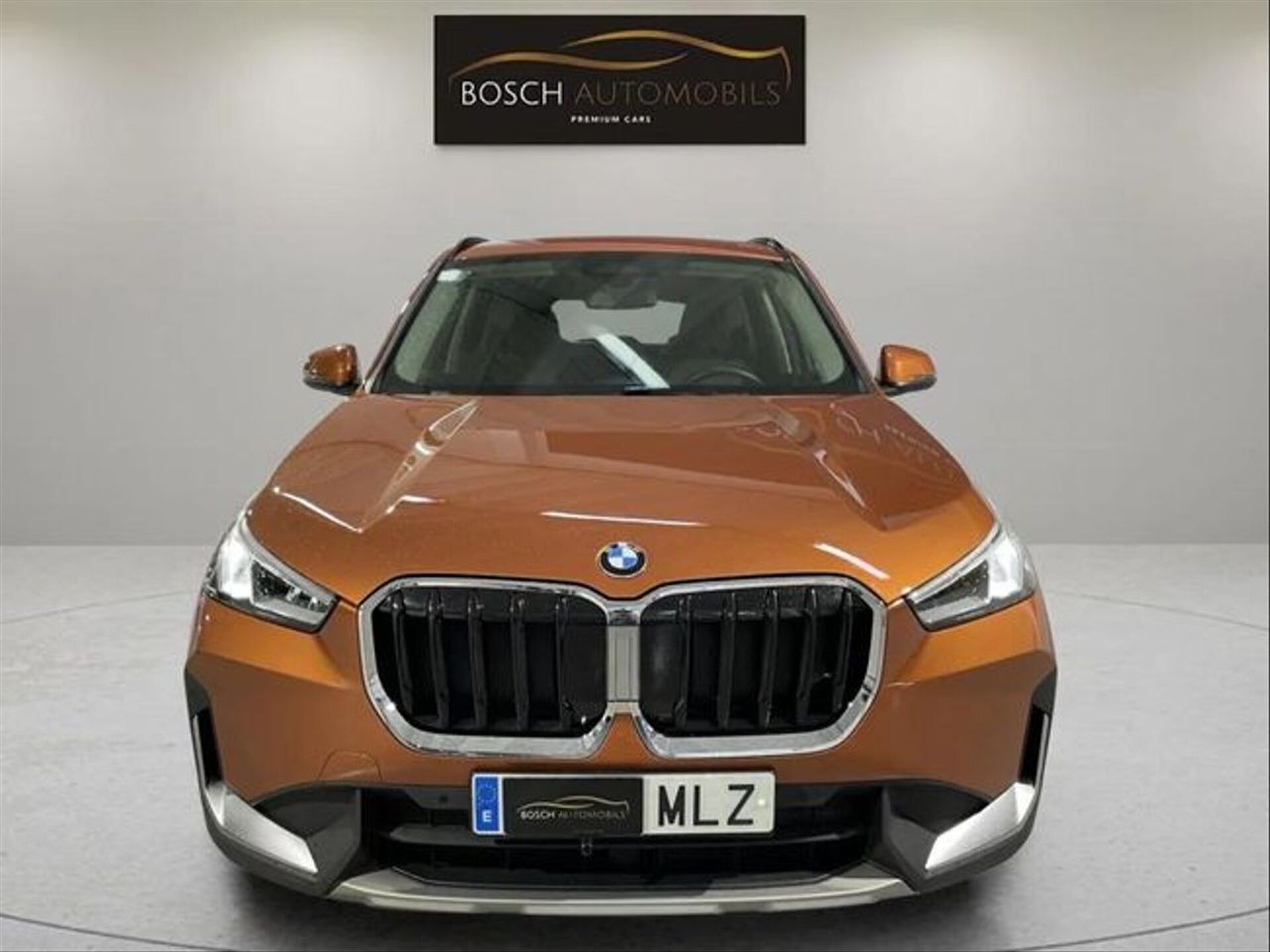 Imagen 2 de BMW X1