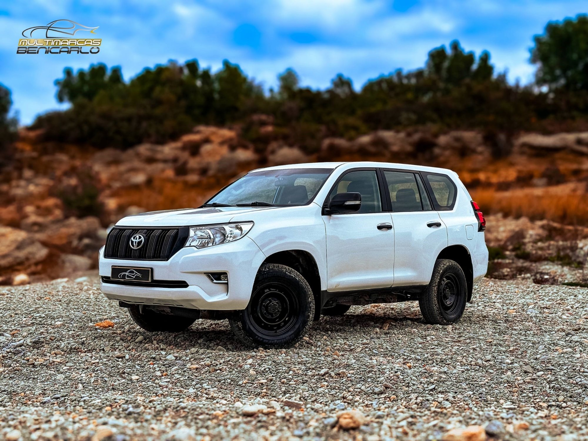 Imagen de TOYOTA Land Cruiser