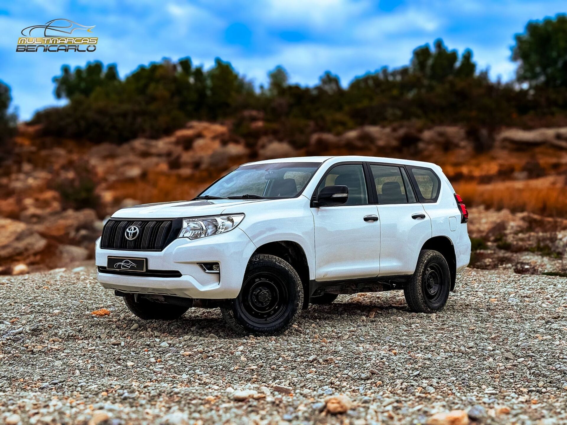 Imagen 1 de TOYOTA Land Cruiser