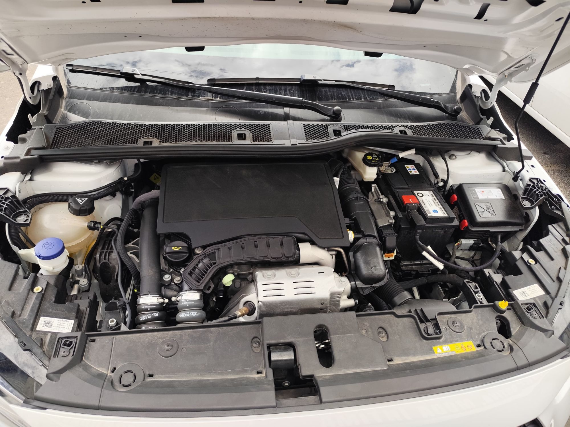 Foto del OPEL Corsa 1.2T XHT S-S Elegance AT8 100