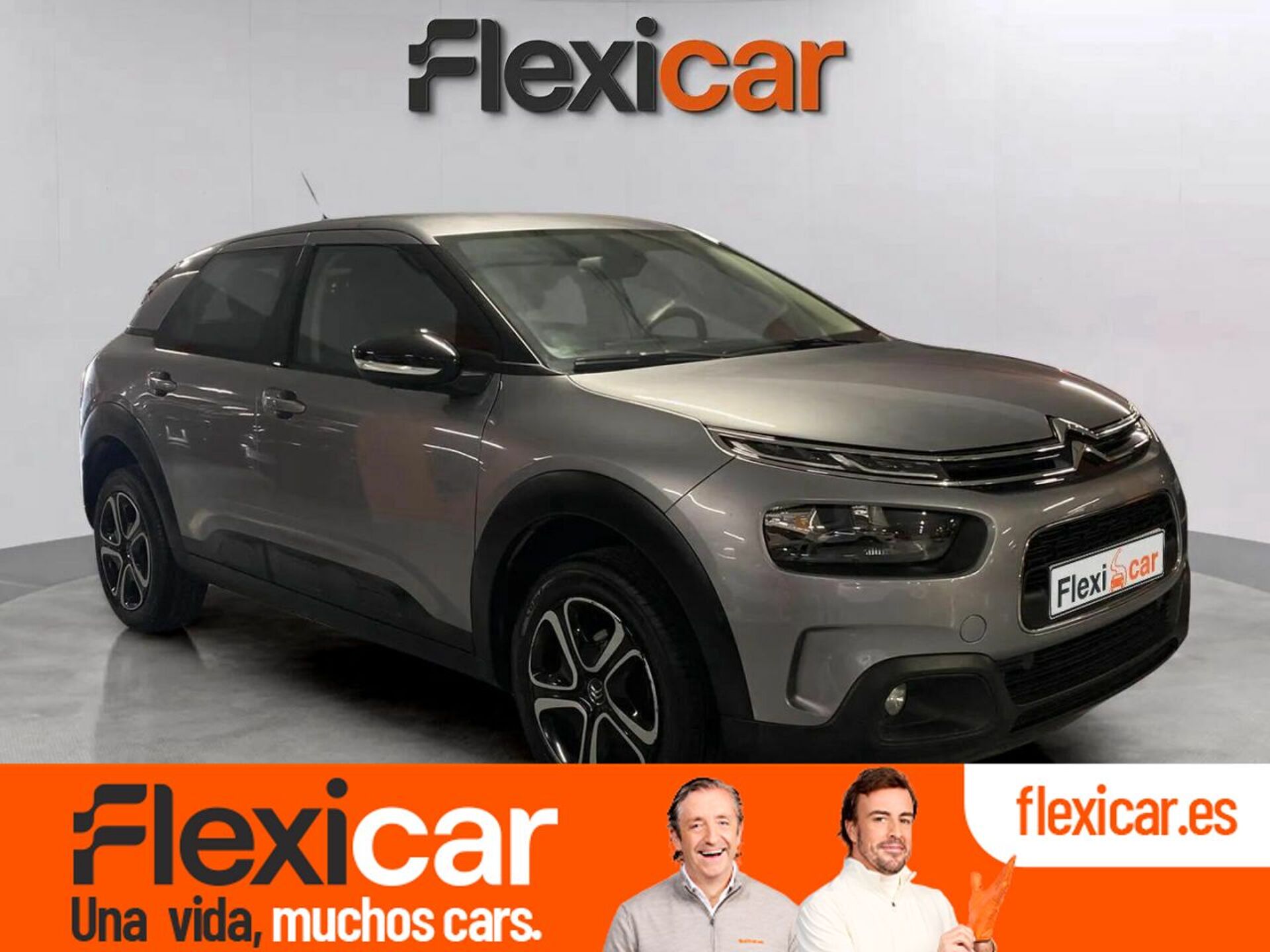 Imagen de CITROEN C4 Cactus