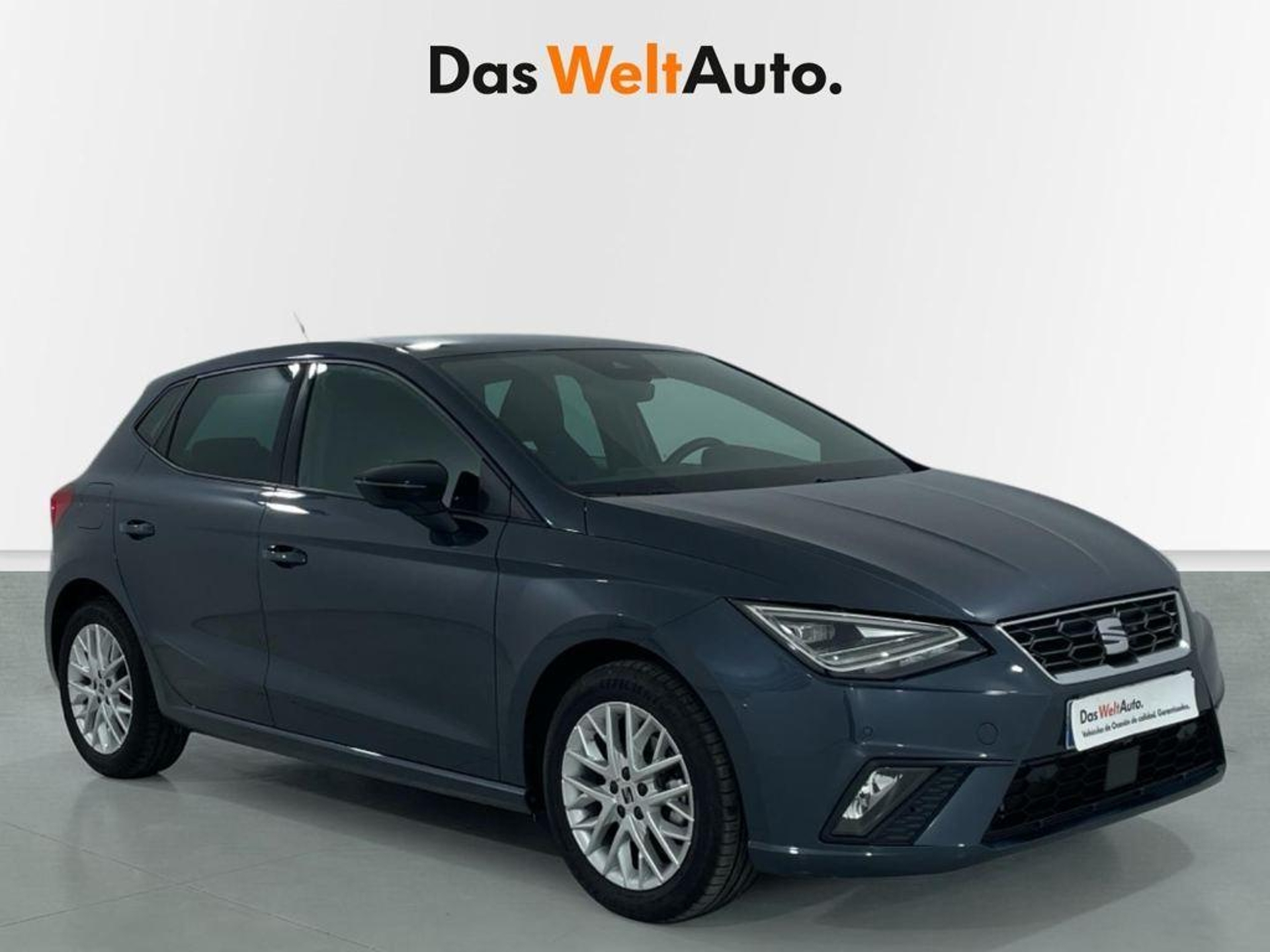 Imagen de SEAT Ibiza