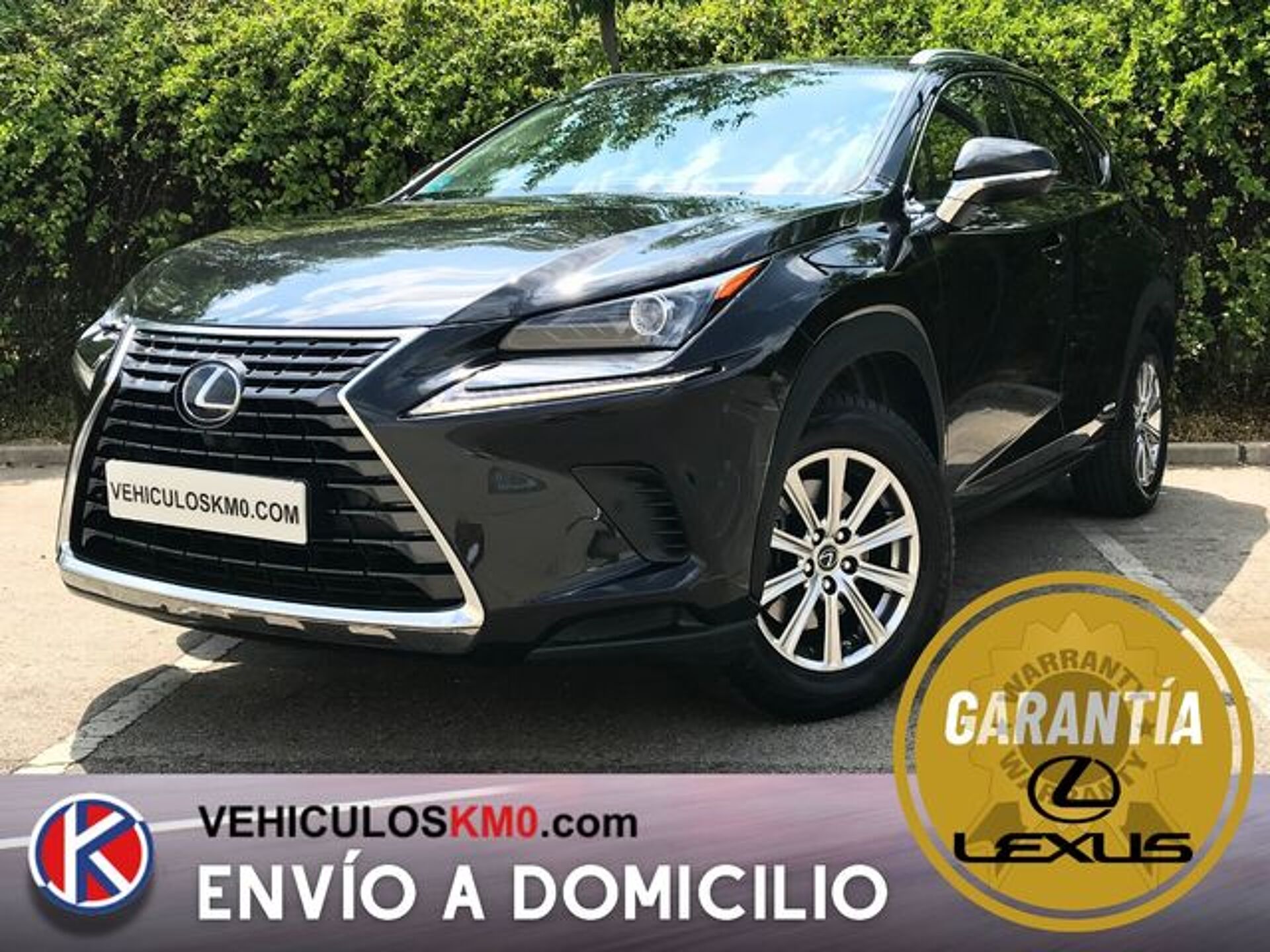Imagen de LEXUS NX