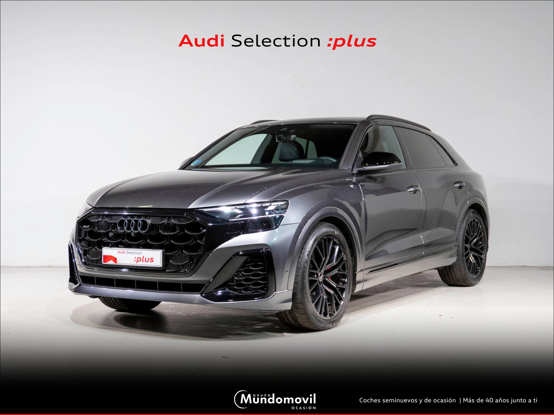 AUDI Q8 (3.0 50 TDI MHEV BLACK LINE QUATTRO TIPTR 5P) en Navarra