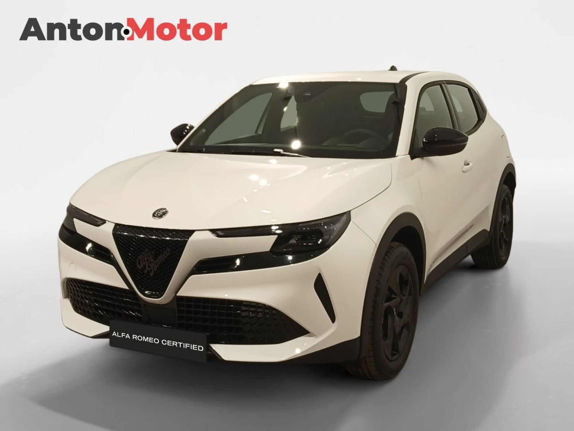 Imagen de ALFA ROMEO Junior