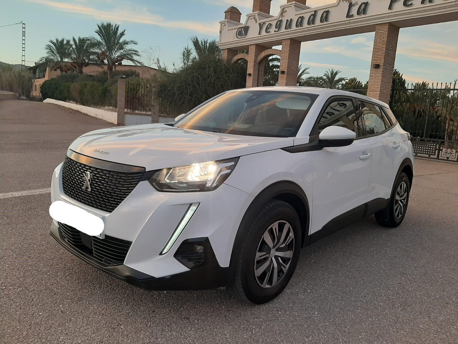 PEUGEOT 2008 (1.5BlueHDi S&S Active 110) en Murcia