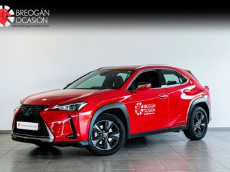 Imagen de LEXUS UX 250h Business 2WD