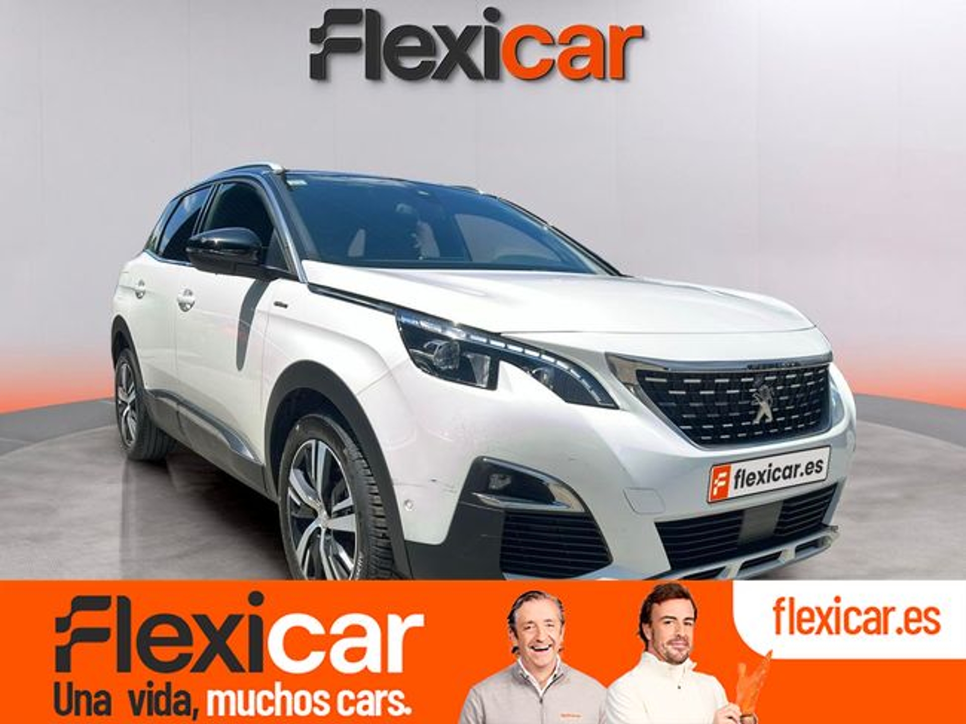 Imagen de PEUGEOT 3008