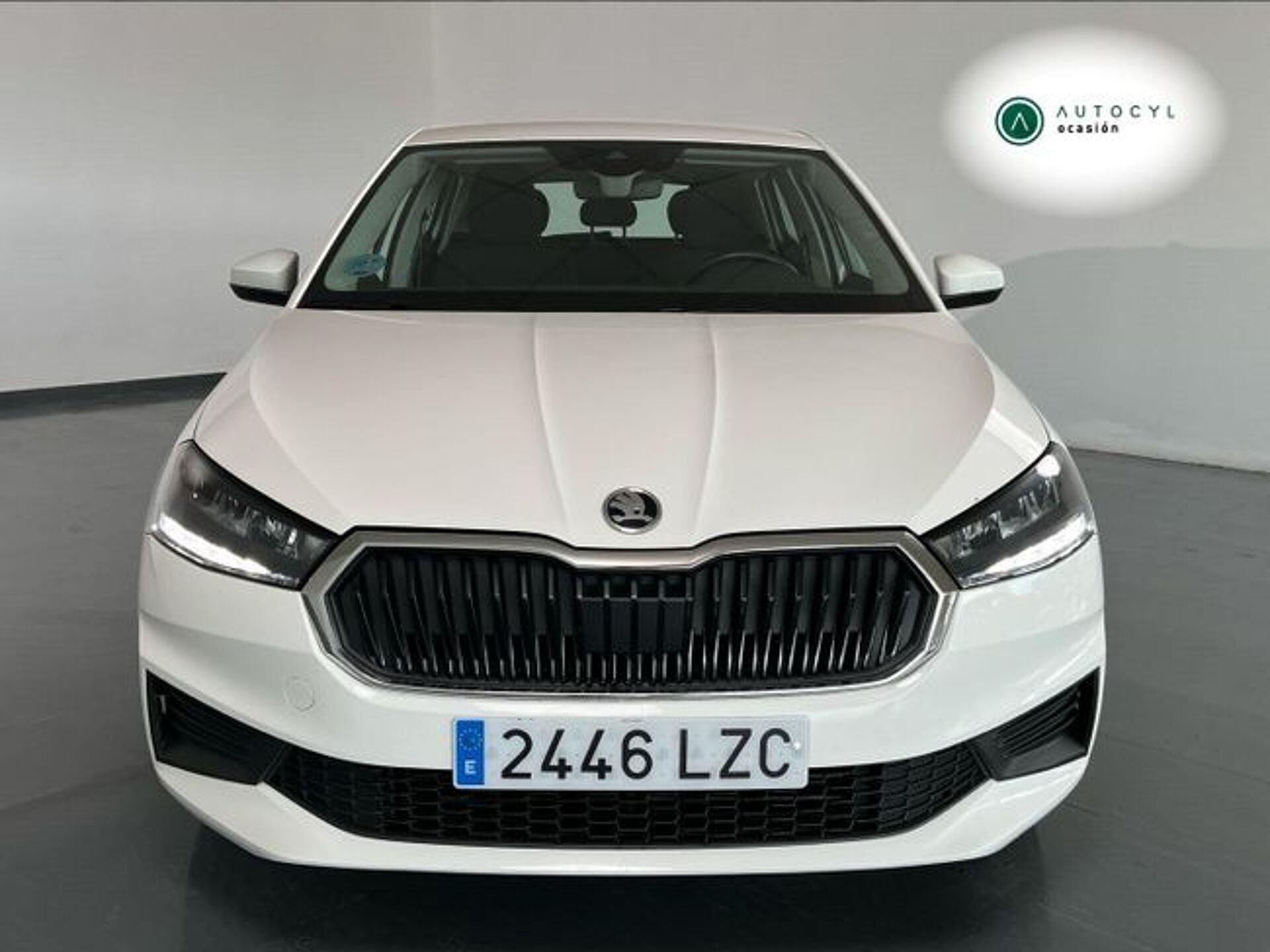 Imagen 2 de SKODA Fabia