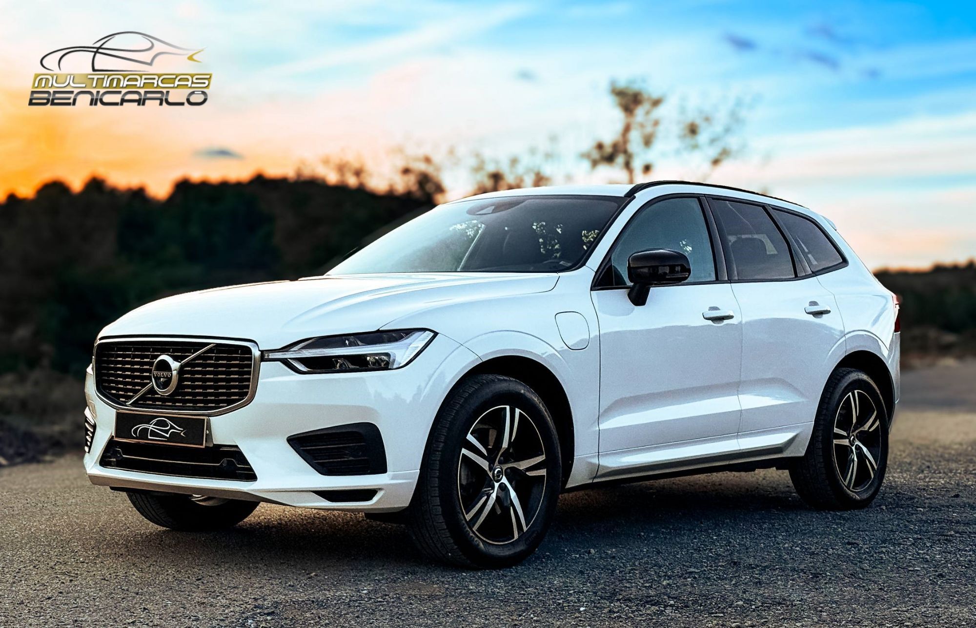 VOLVO XC60 (T8 Twin Recharge R-Design) en Castellón