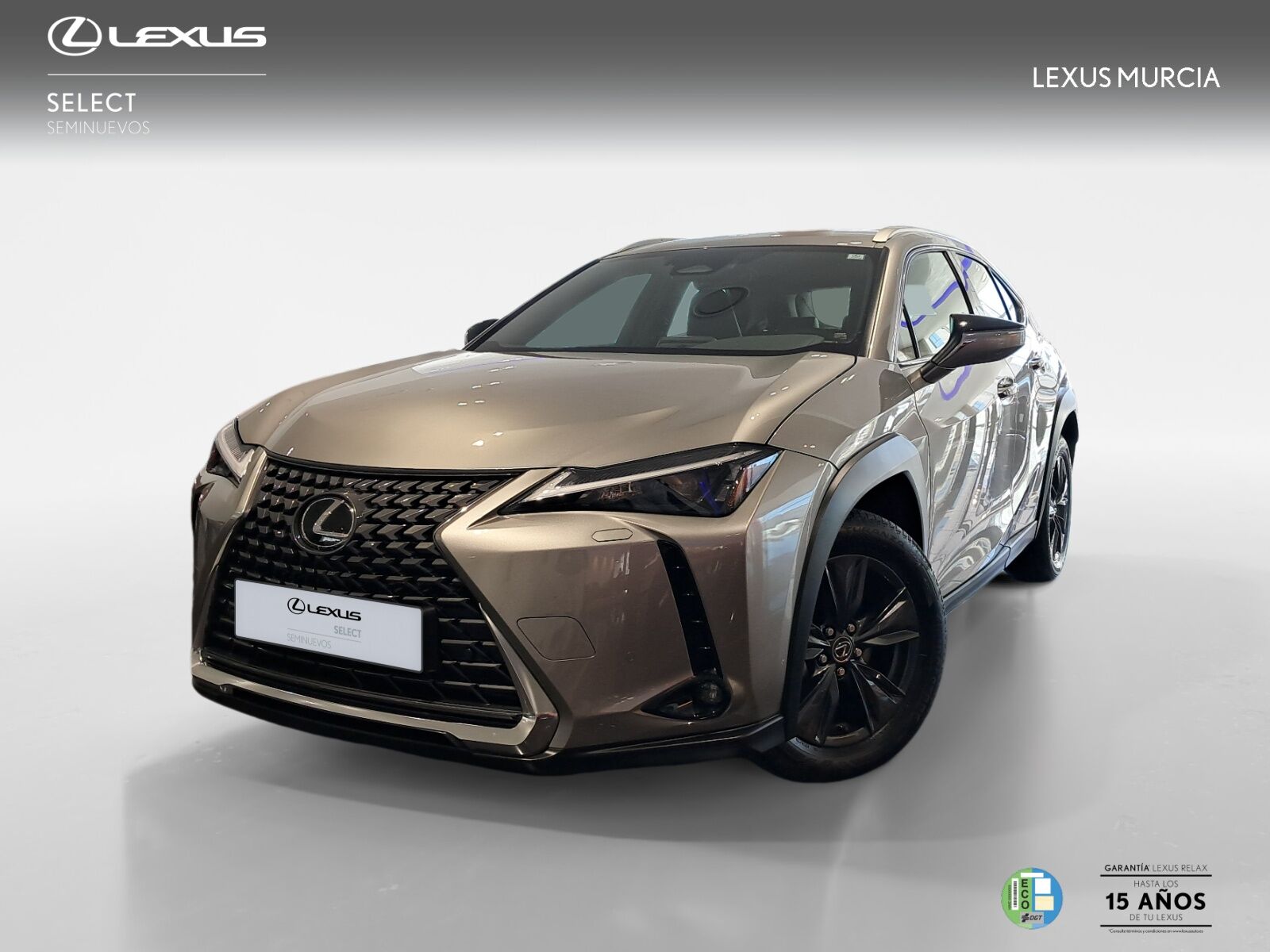 LEXUS UX (300h UX+ 4x2) en Murcia