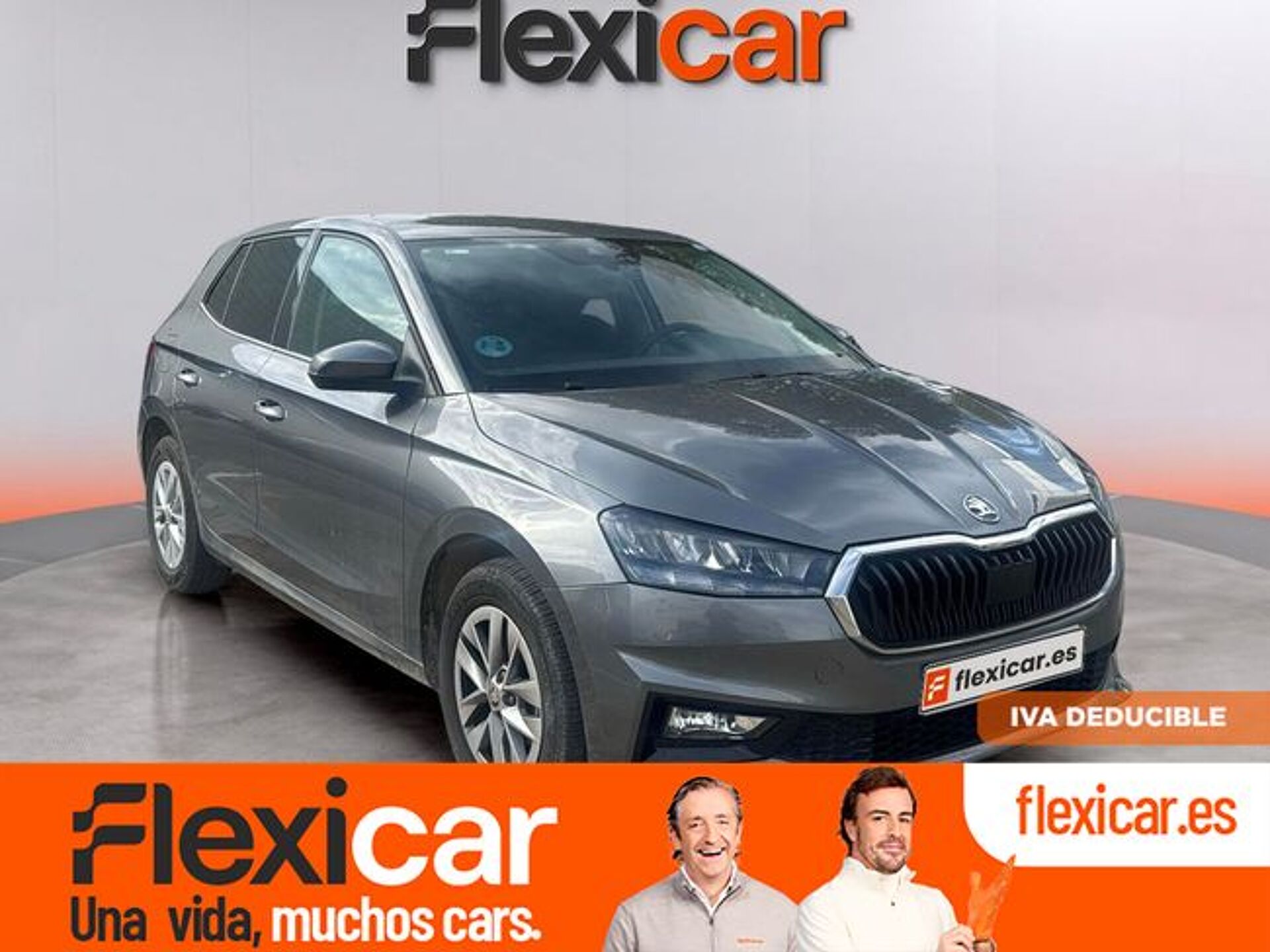 Imagen 1 de SKODA Fabia