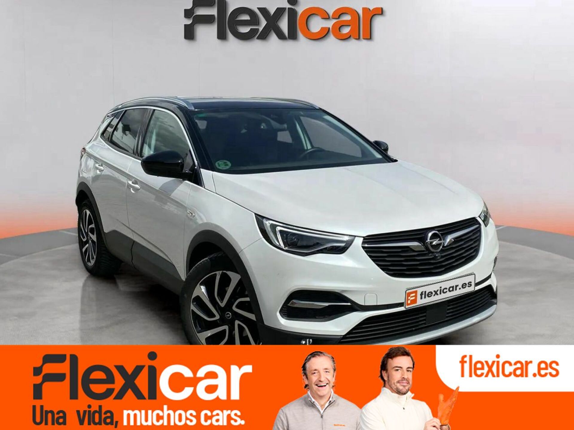 Imagen de OPEL Grandland X