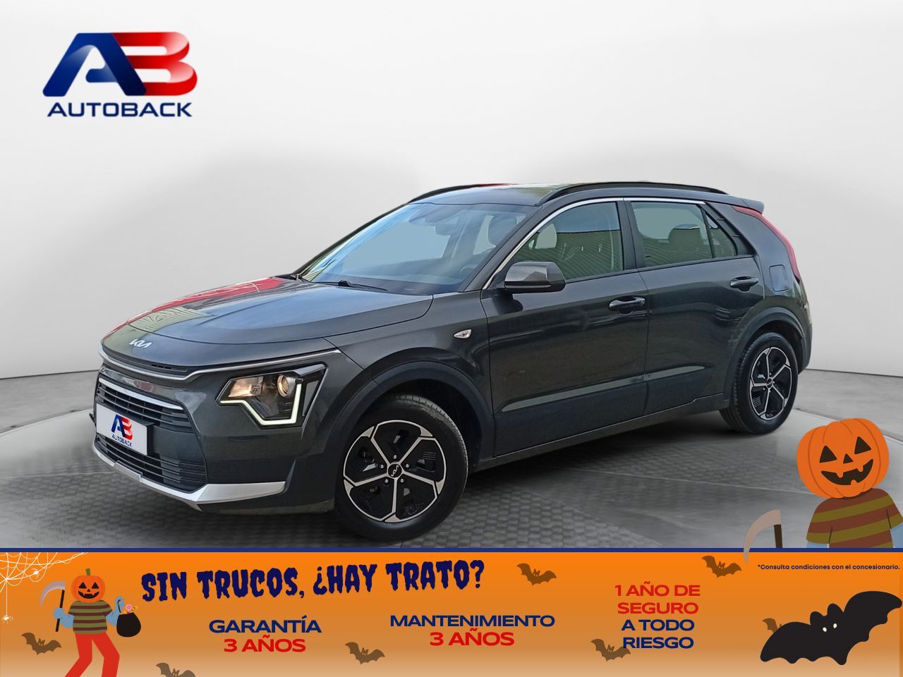 KIA Niro (1.6 GDi HEV 104kW (141CV) Concept) en Madrid