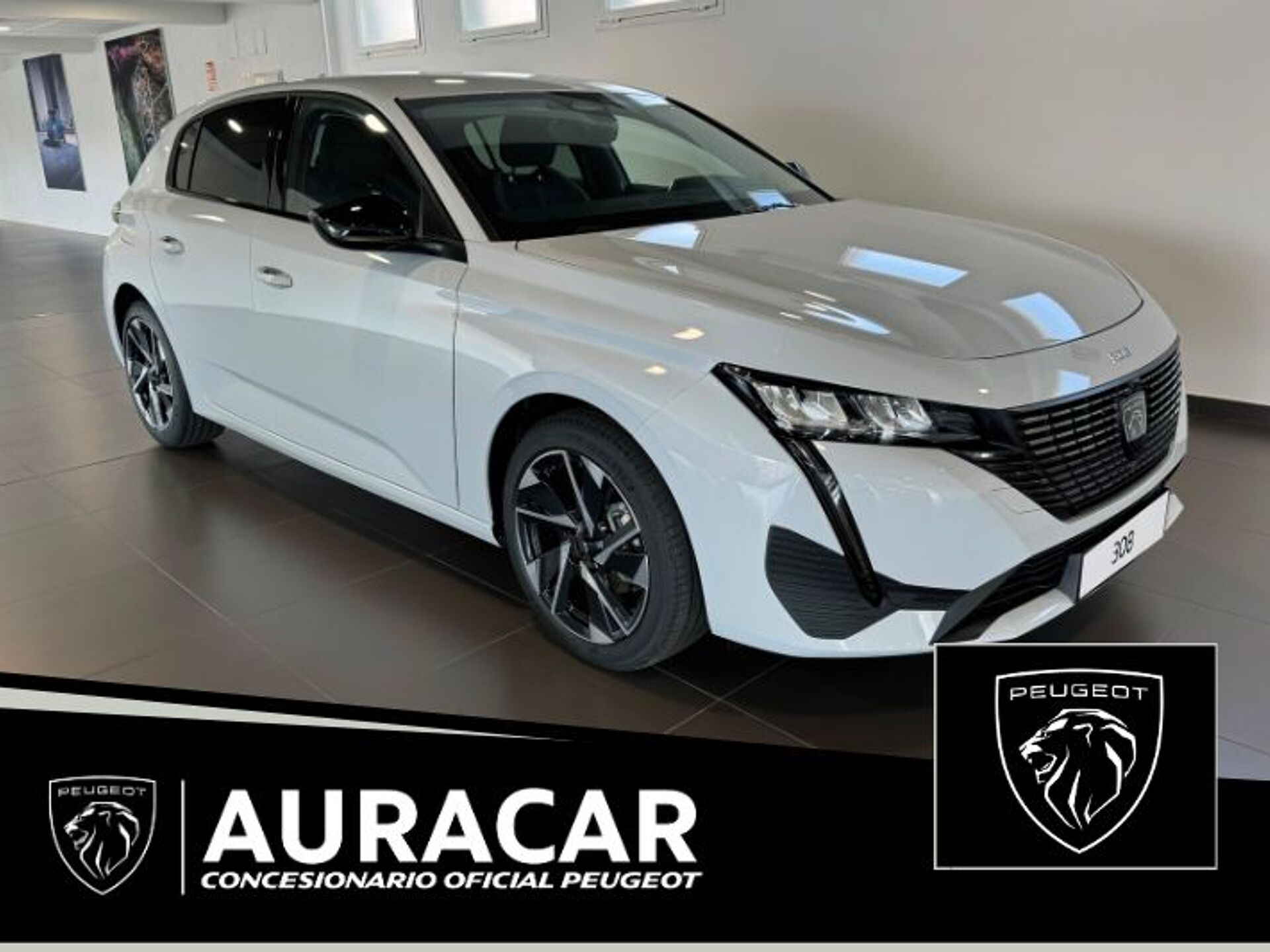 Imagen de PEUGEOT 308