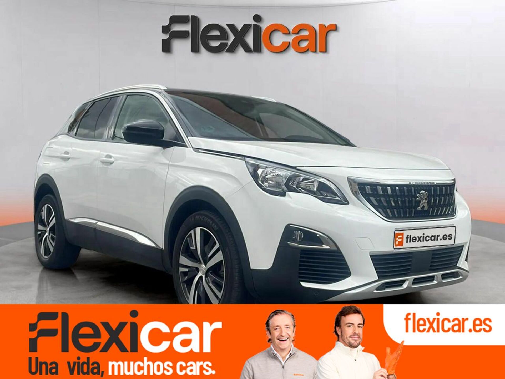 Imagen de PEUGEOT 3008