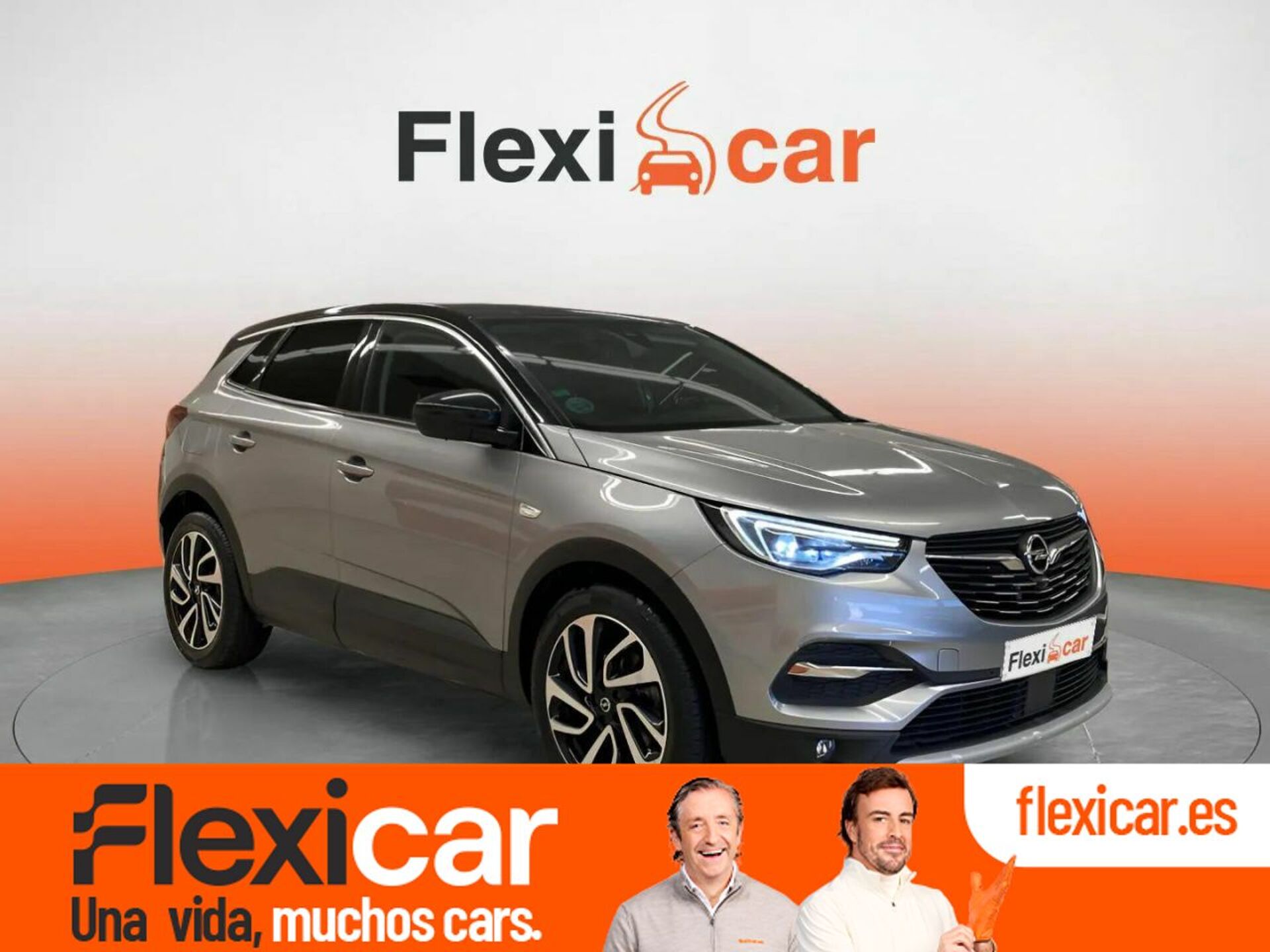 Imagen de OPEL Grandland X
