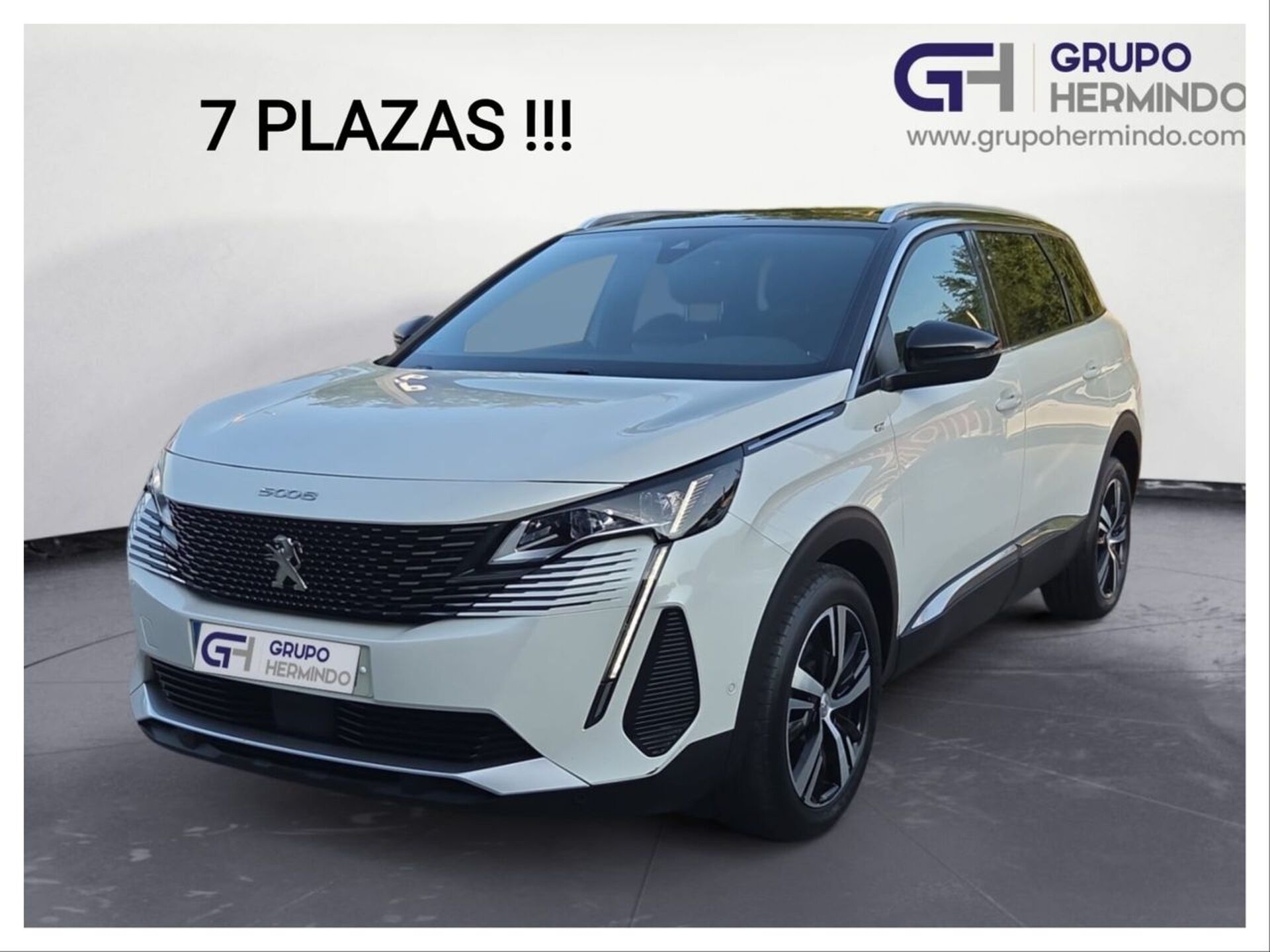 Imagen de PEUGEOT 5008