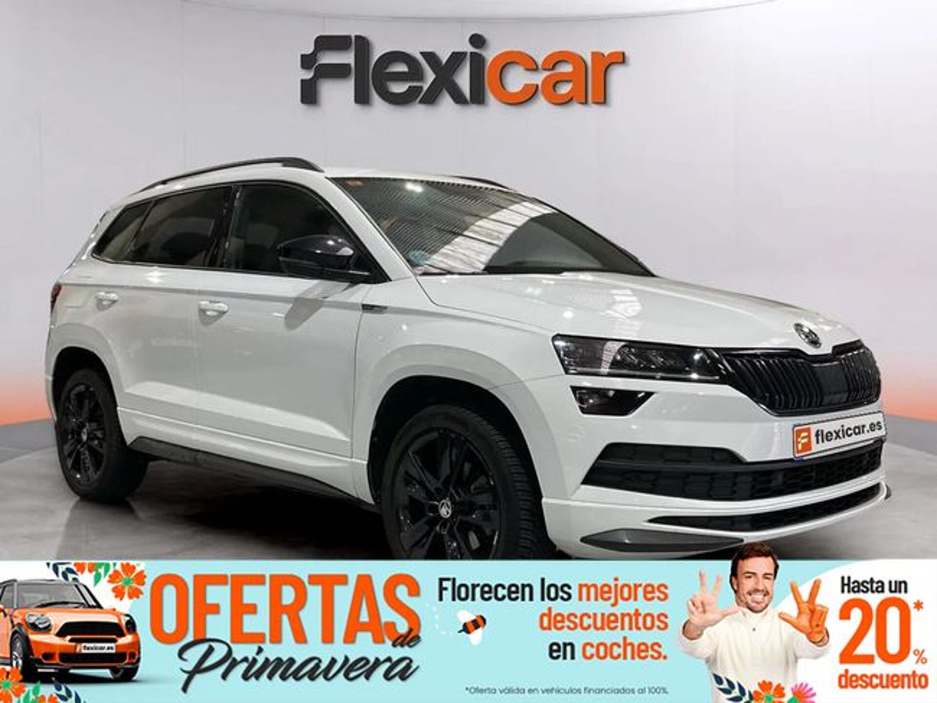 Imagen 1 de SKODA Karoq