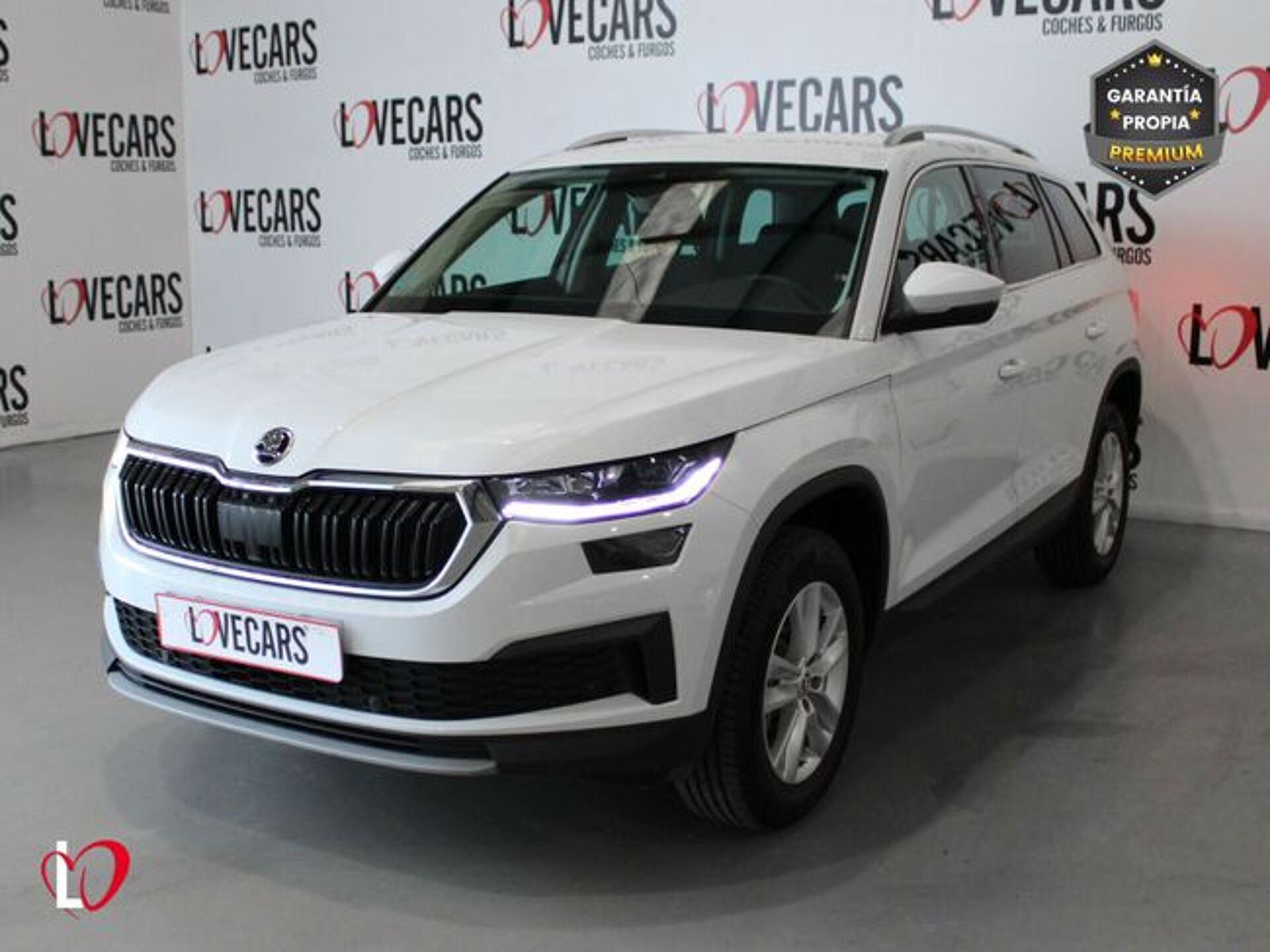 Imagen 3 de SKODA Kodiaq