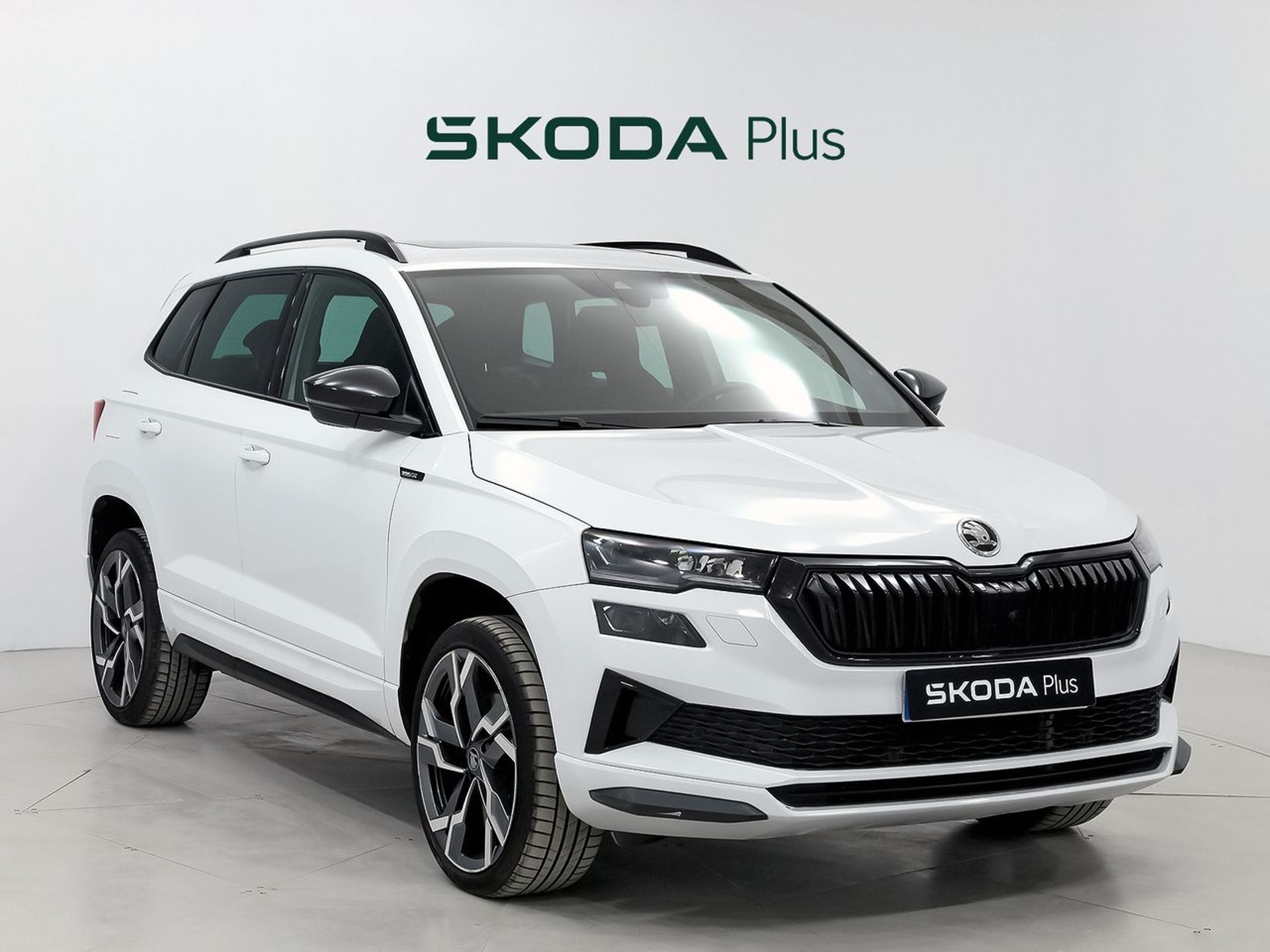 Imagen de SKODA Karoq
