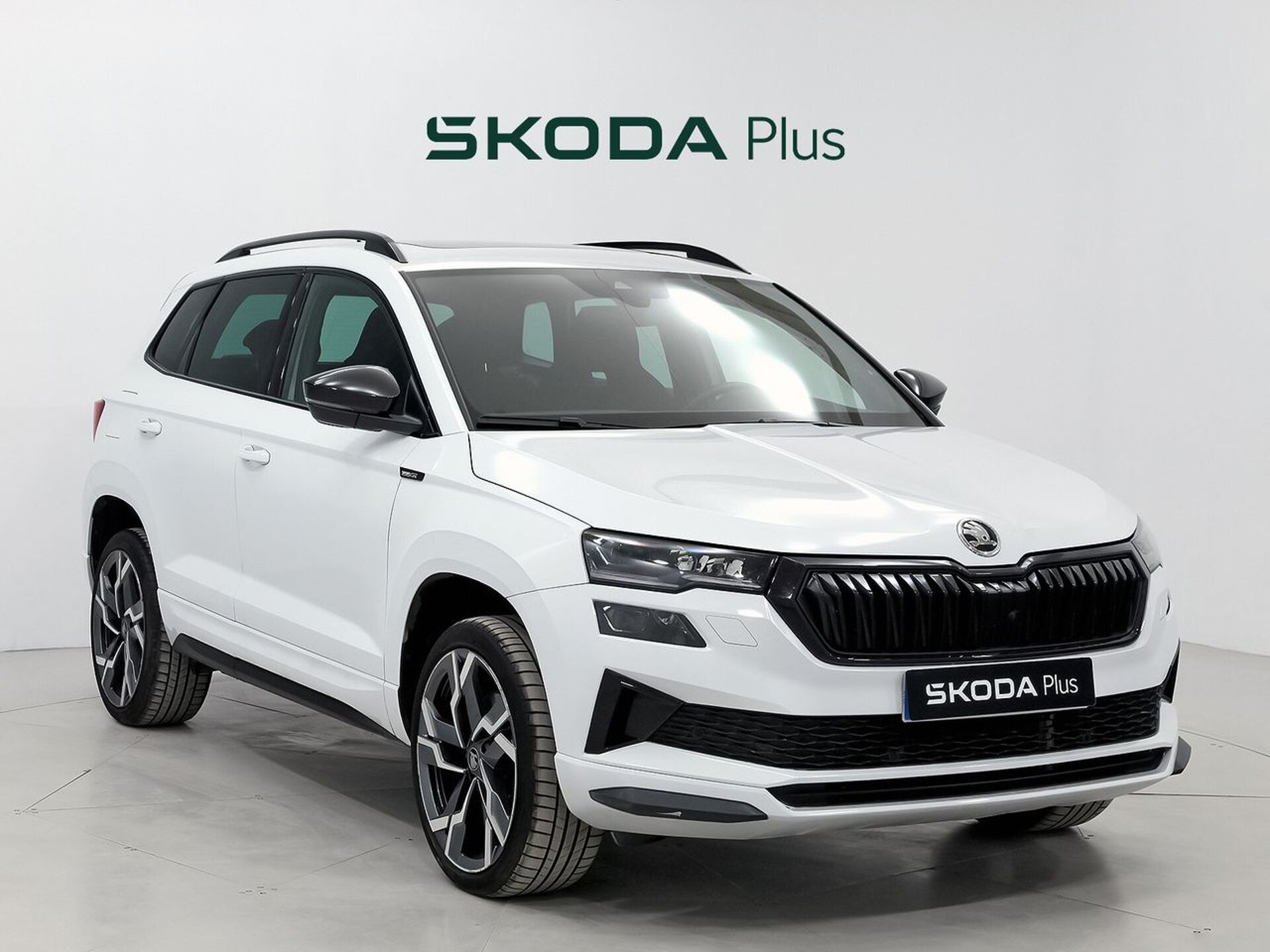 Imagen 1 de SKODA Karoq