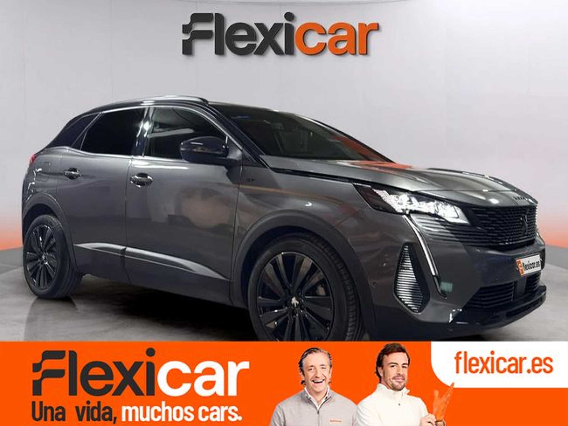 Imagen de PEUGEOT 3008