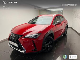 Imagen de LEXUS UX 250h Business 4WD