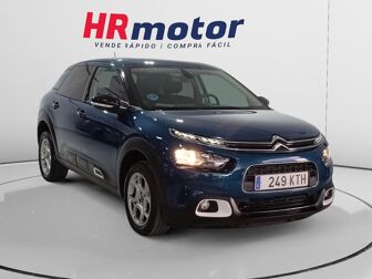 Imagen de CITROEN C4 Cactus
