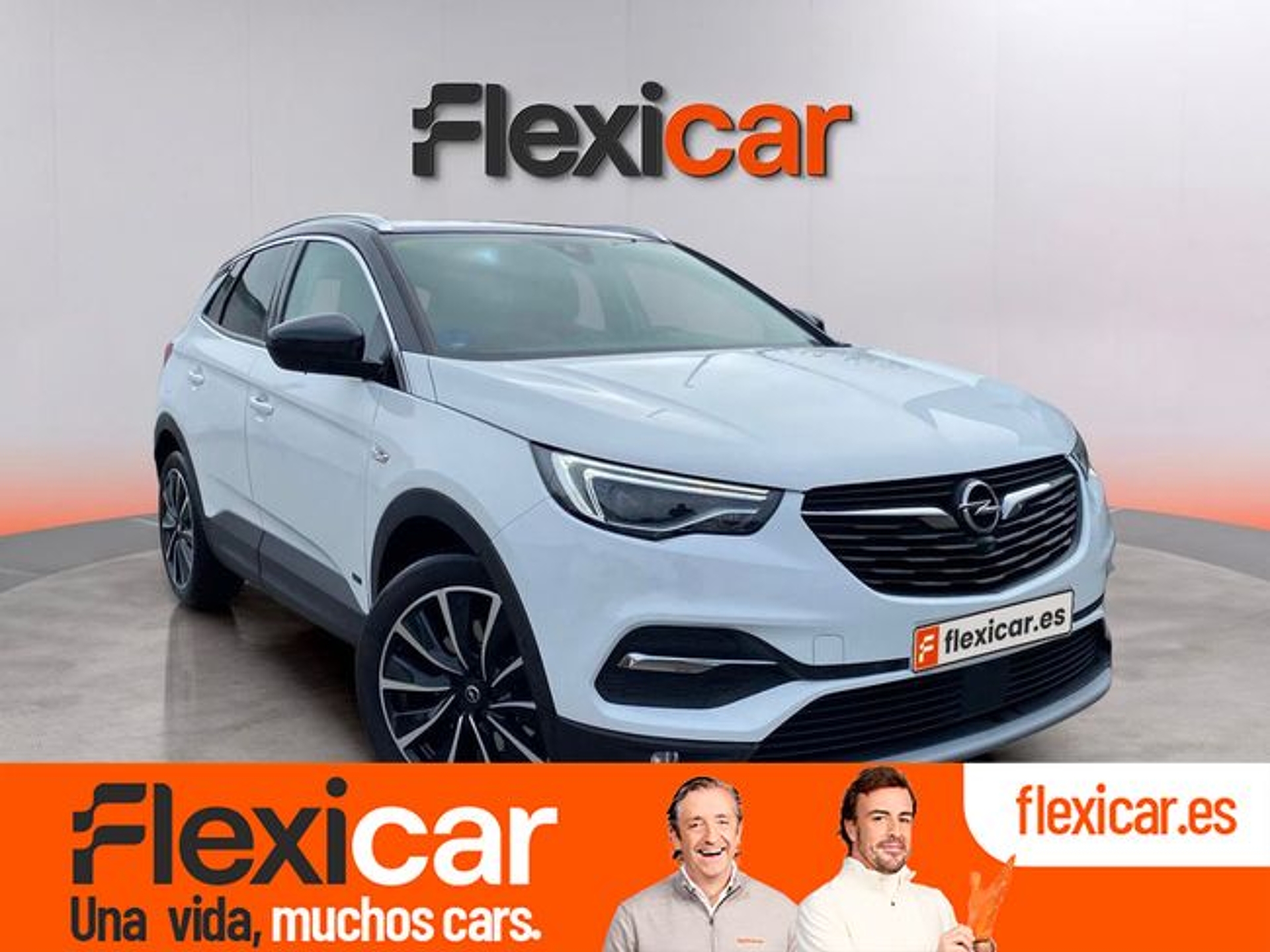 Imagen de OPEL Grandland X