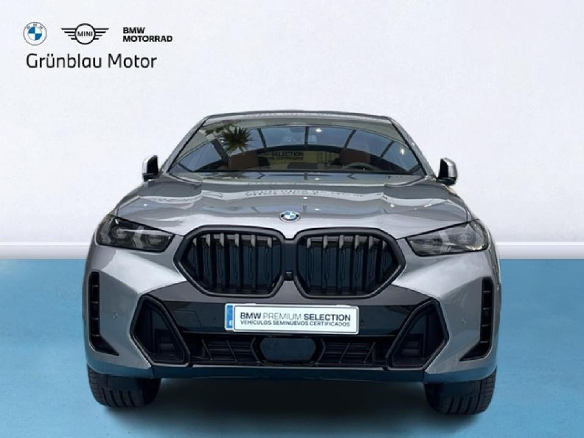Imagen 2 de BMW X6