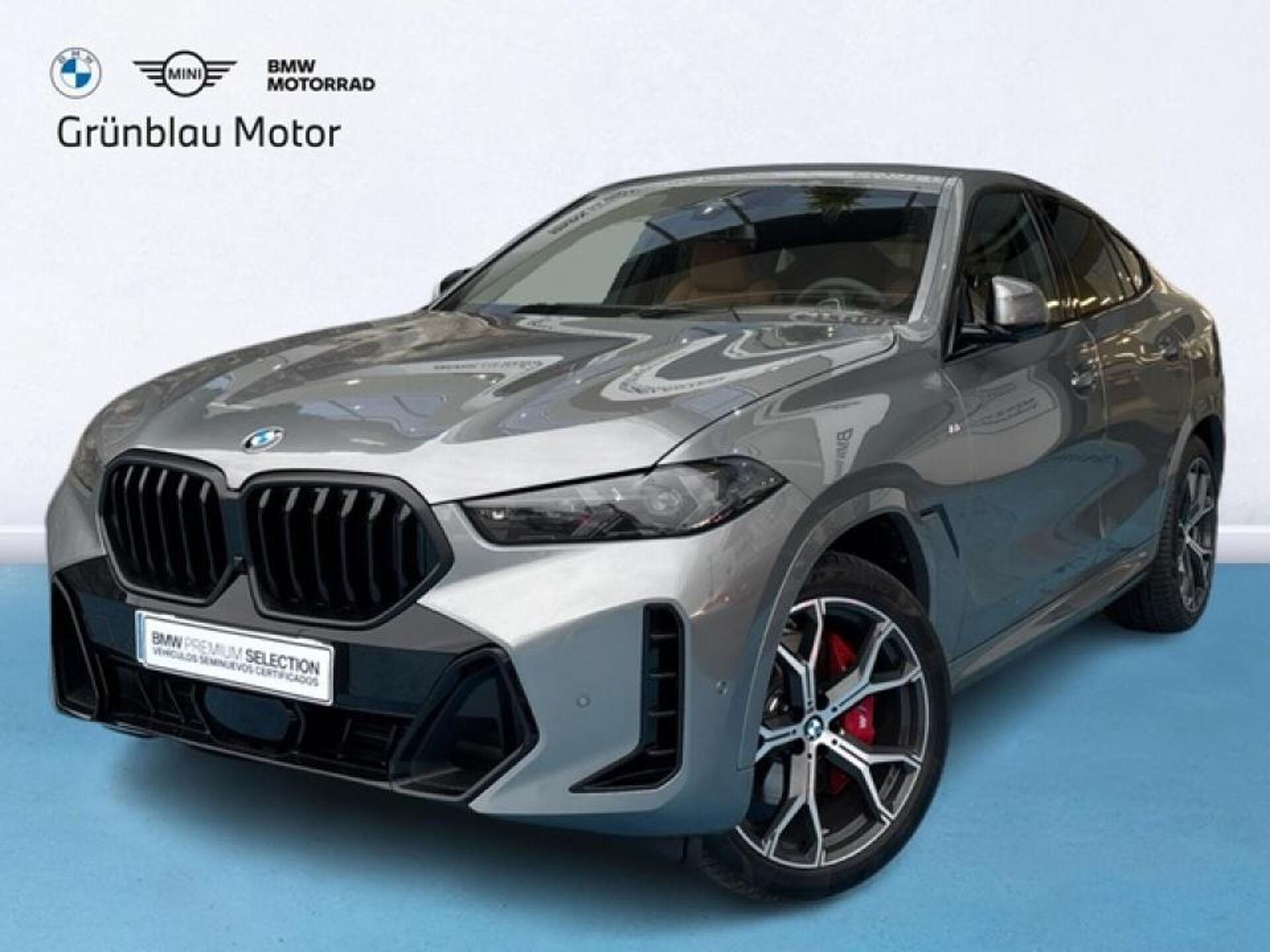 Imagen 1 de BMW X6